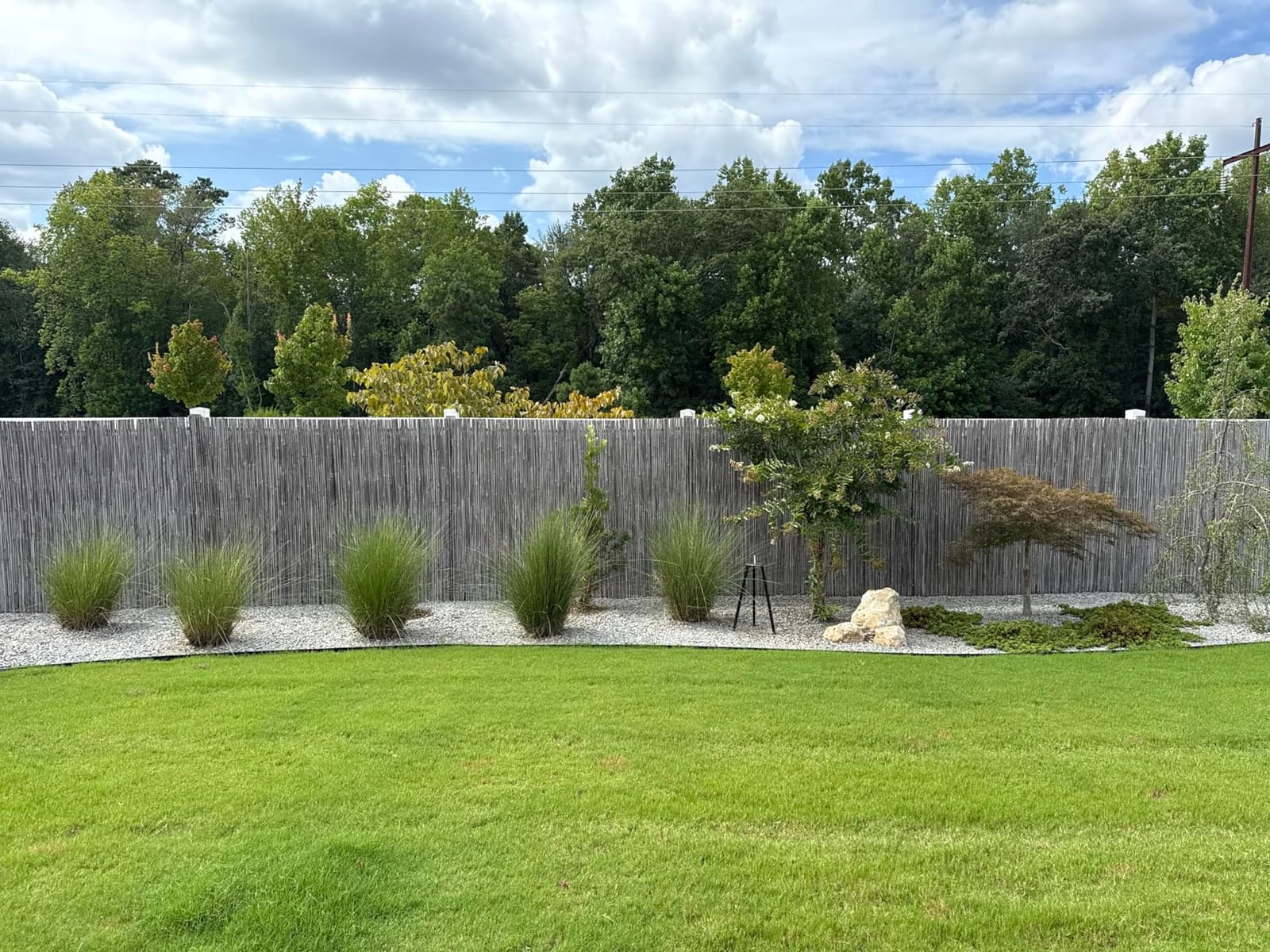Mininfa Natural Rolled Bamboo Fence, Eco-Friendly Bamboo Fencing, 0.7 in D x 6 feet High x 8 feet Long, bambou Screen for Garden, Privacy customer photo 2