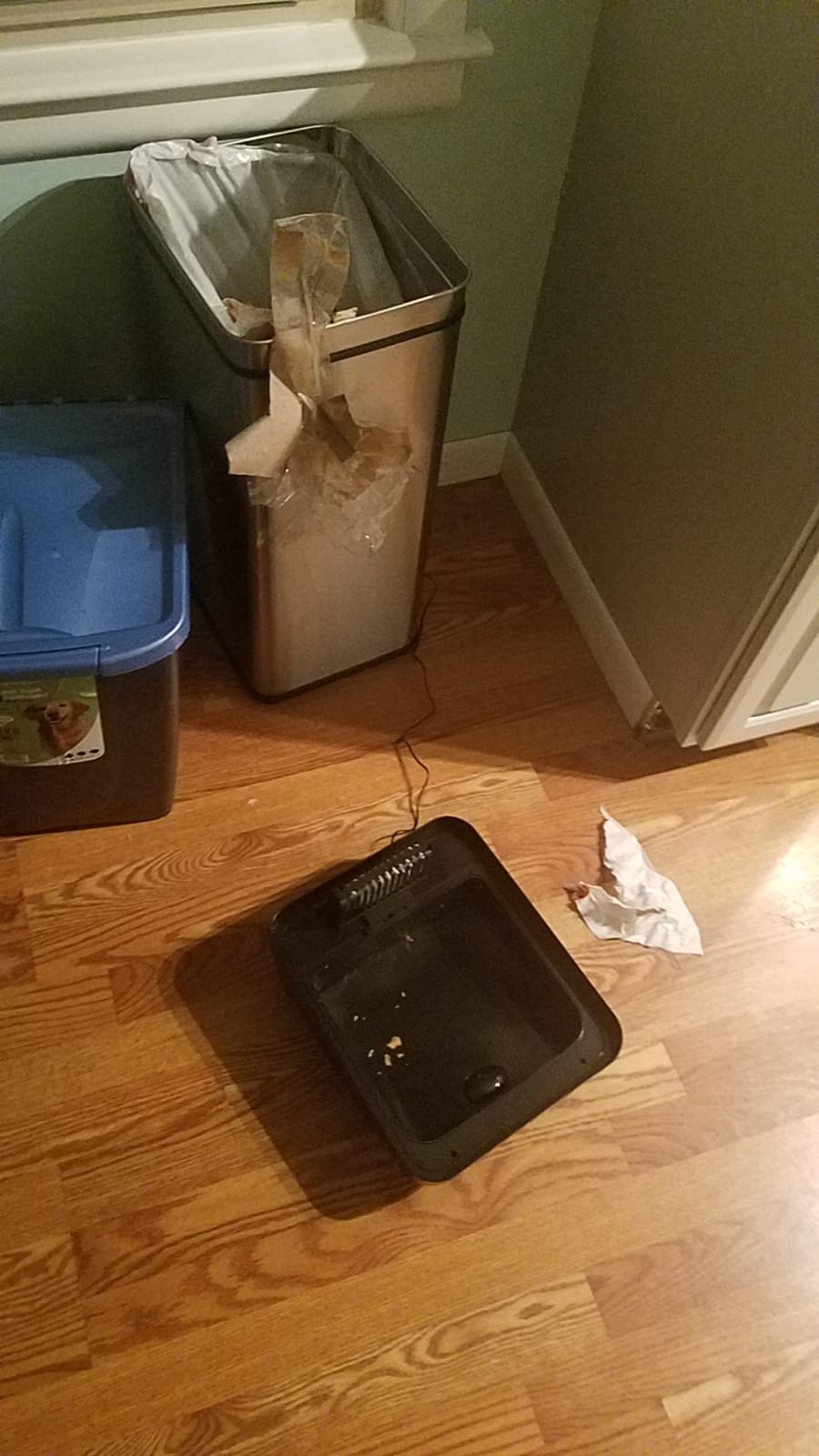 8 Gallon Pet-Proof Sensor Trash Can with AbsorbX Odor Control System, Stainless Steel Kitchen Garbage Bin Prevents Dogs and Cats Getting in, Battery or AC Adapter Power (Both not Included) customer photo 1