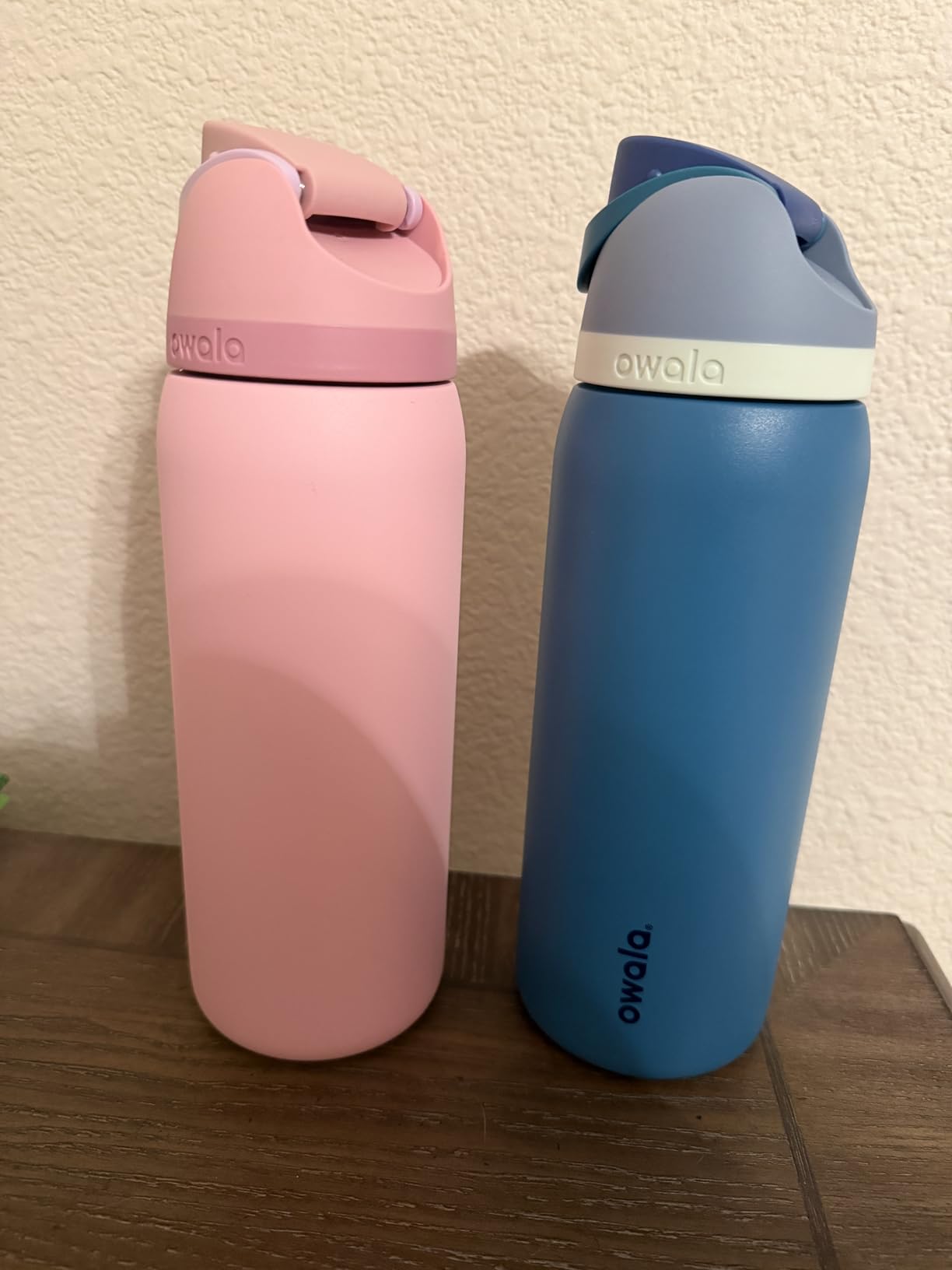 Owala FreeSip Stainless Steel Water Bottle 32 oz Shy Marshmallow customer photo 2