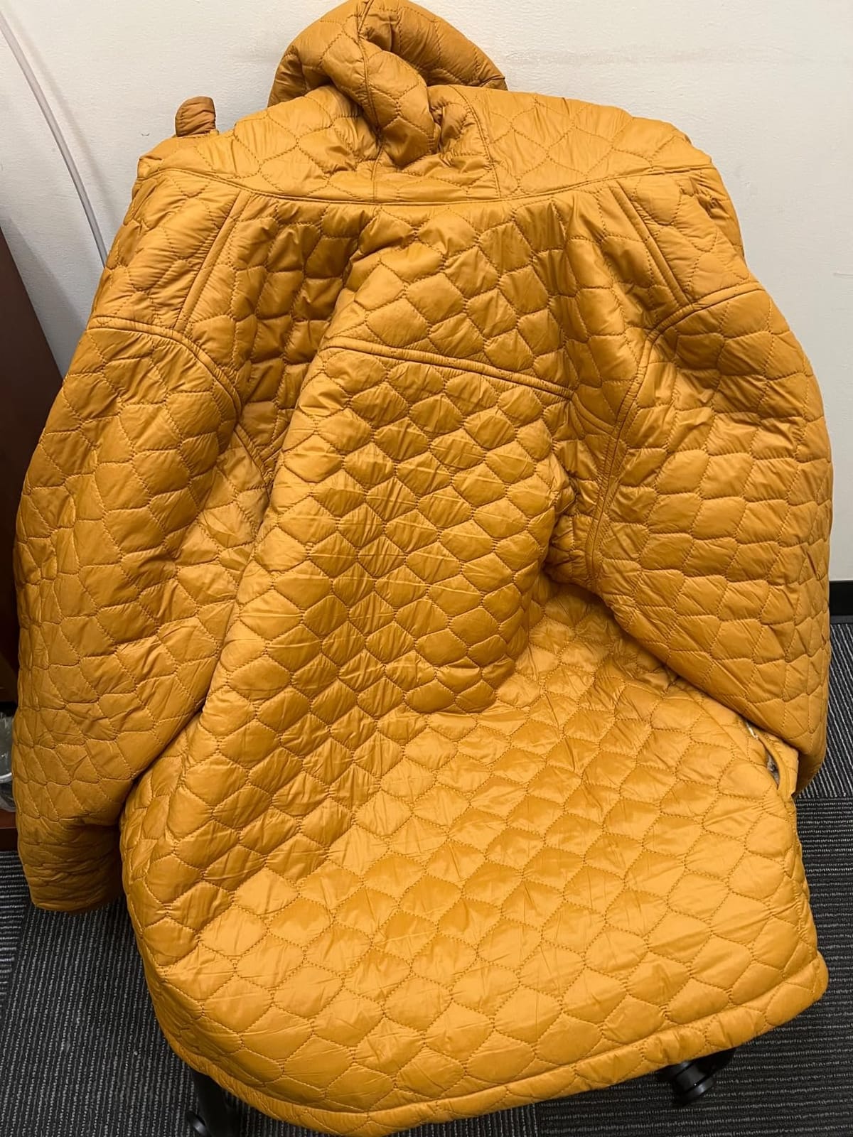 Amazon Essentials womens Lightweight Quilted Full-Zip Water-Resistant Sherpa-Lined Hooded Puffer Jacket customer photo 1