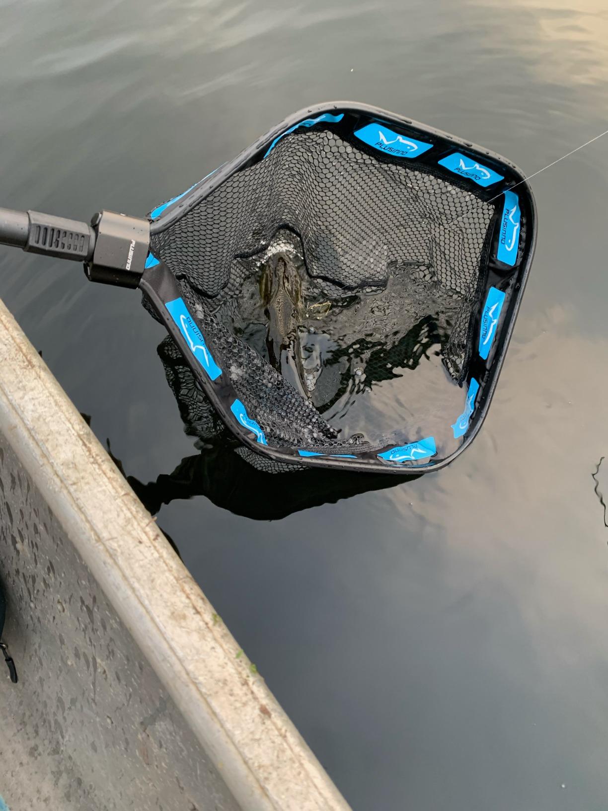 PLUSINNO Floating Fishing Net for Steelhead, Salmon, Fly, Kayak, Catfish, Bass, Trout Fishing, Rubber Coated Foldable Landing Net with Fixed or Telescopic Pole Handle, Fishing Gear and Gifts for Men customer photo 1