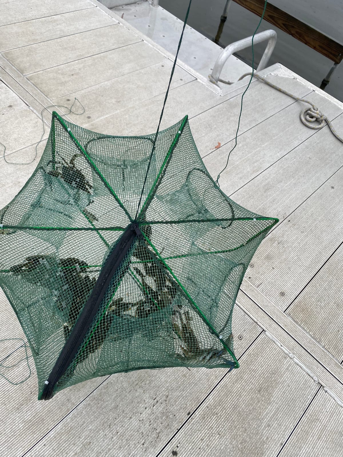 Drasry Black Fishing Bait Trap Foldable Fish Net for Minnow Crab Crayfish Crawdad Shrimp Trap Cast Net Dip Cage Collapsible Easy Use 4 6 Hole Fishing Accessories customer photo 2