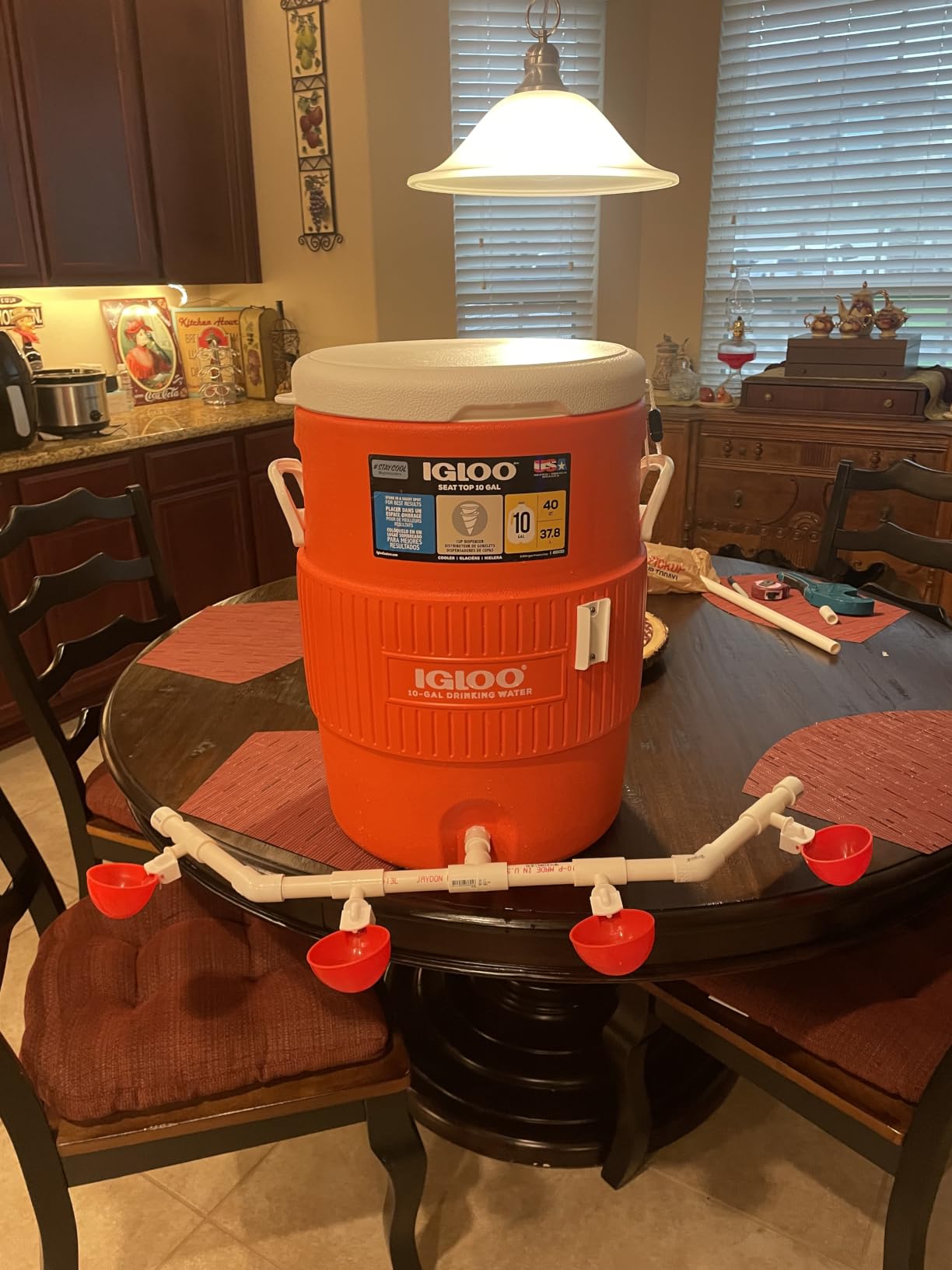 Igloo Sports Cooler | Insulated Beverage Dispenser with Spout | Portable Handwashing Station customer photo 1