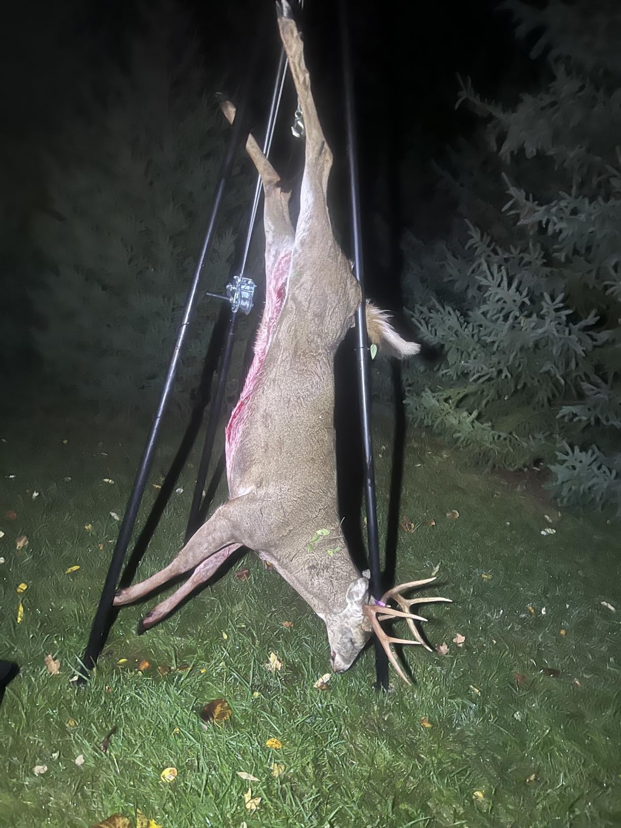 Kill Shot 9' Steel Tripod Game Hoist with Gambrel & 500 lbs. Capacity for Skinning, Cleaning or Moving Game, 3-Point Design for Quick Setup, Black customer photo 2