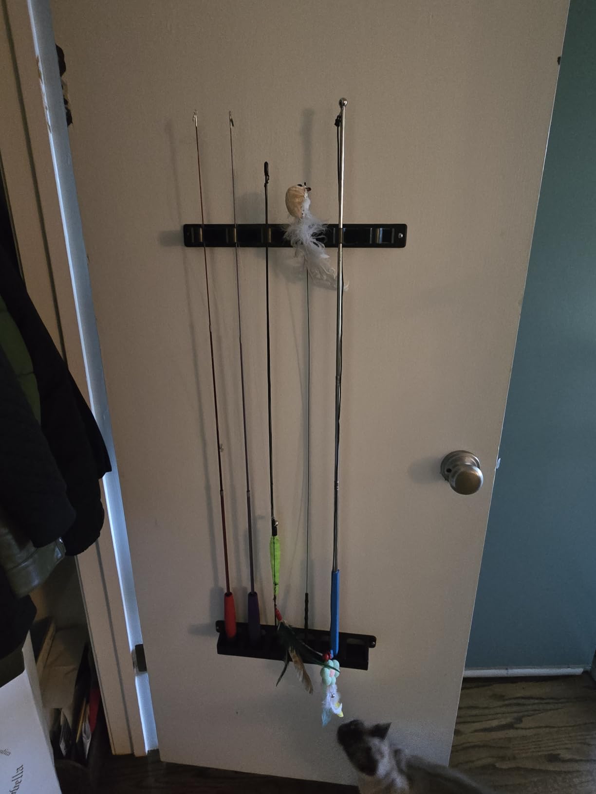 Wall Mount Fishing Rod Holder, Vertical Fishing Pole Storage Rack for Garage | Innovative rubber-ring top retainer keeps fishing rods neatly and securely organized customer photo 1