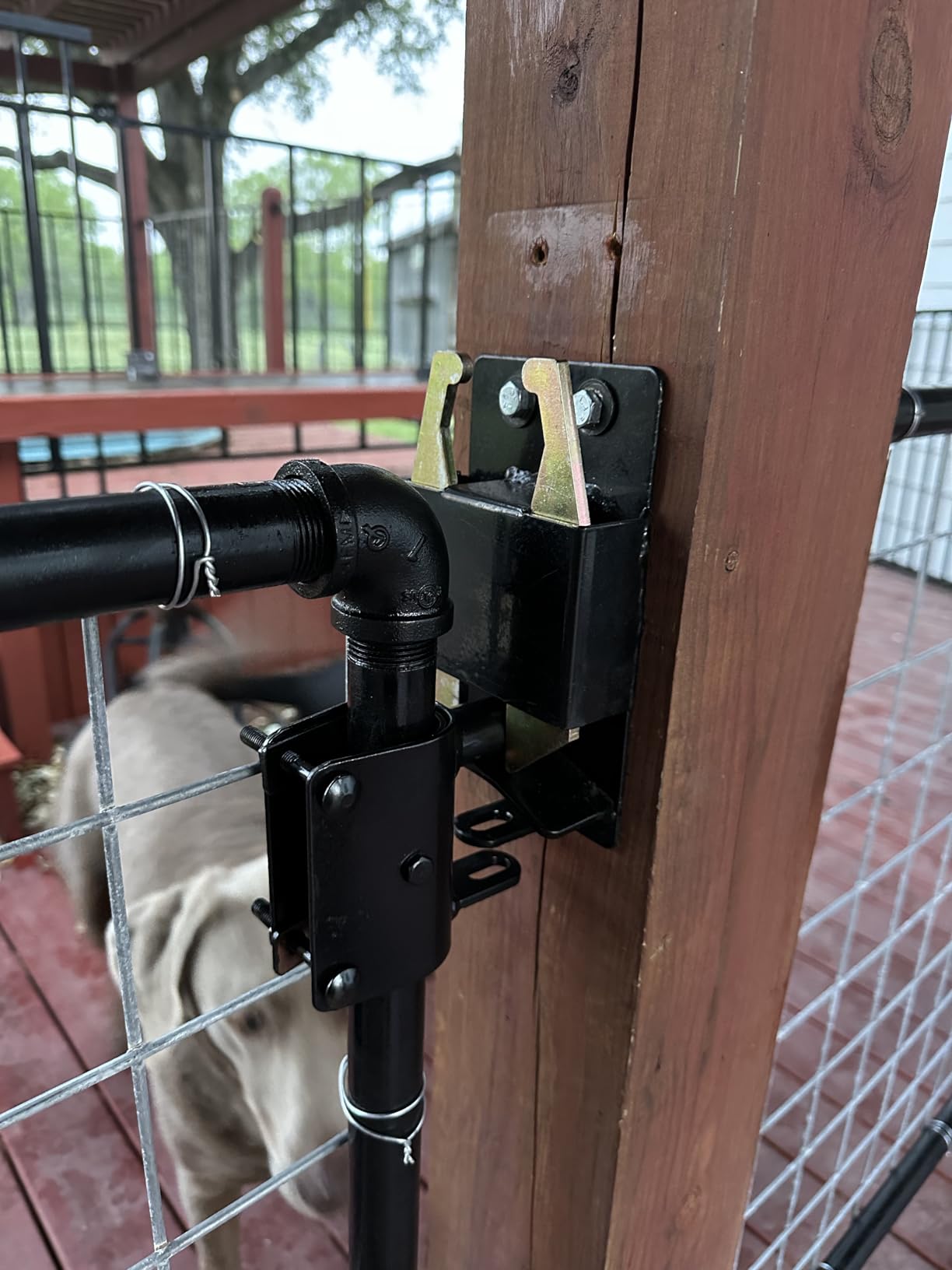 Farm Gate Latch 2 Way Gate Latch - Black Two Way Gate Latch Livestock Cattle Gate for Horse Corrals, Ranches customer photo 1