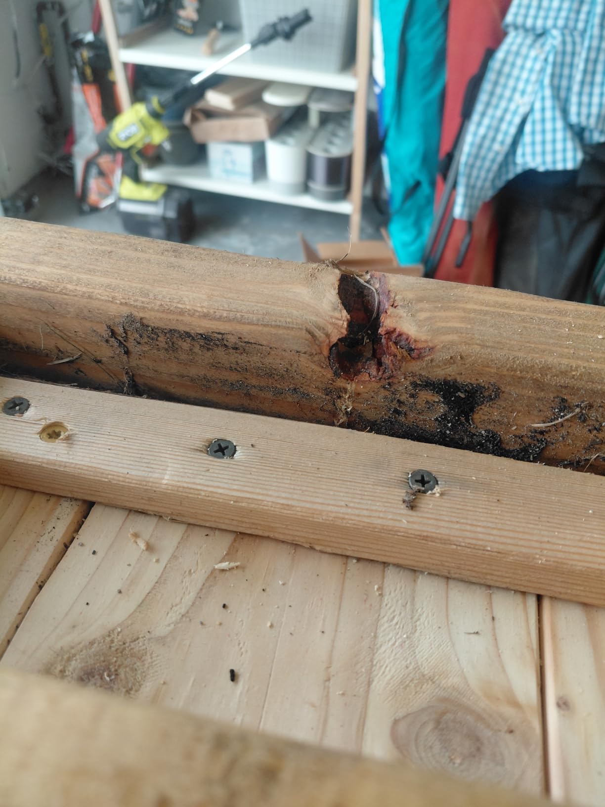2-Ring Foldable Axe and Knife Throwing Target customer photo 2