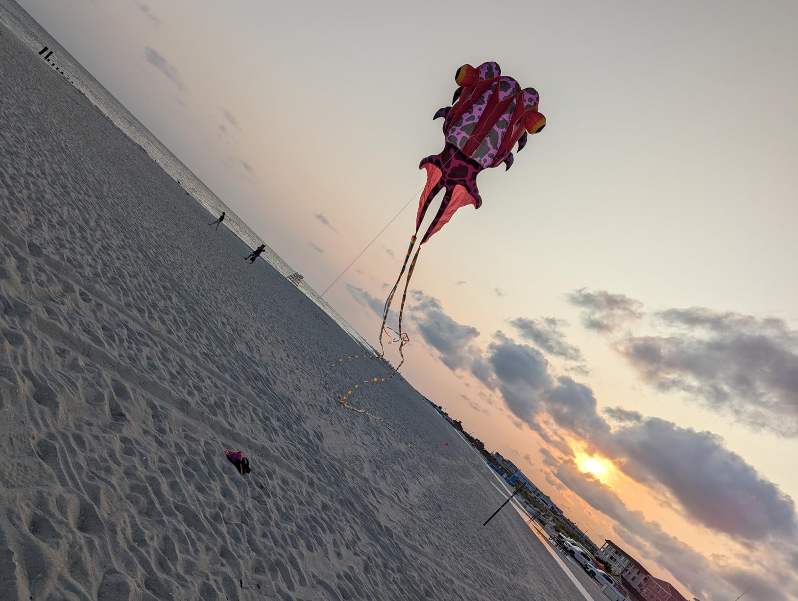 Kizh Kite Giant 3D Dolphin Frameless Soft Parafoil Kites for Kids and Adults Easy Flyer Kite for Beach Park Garden Playground customer photo 1