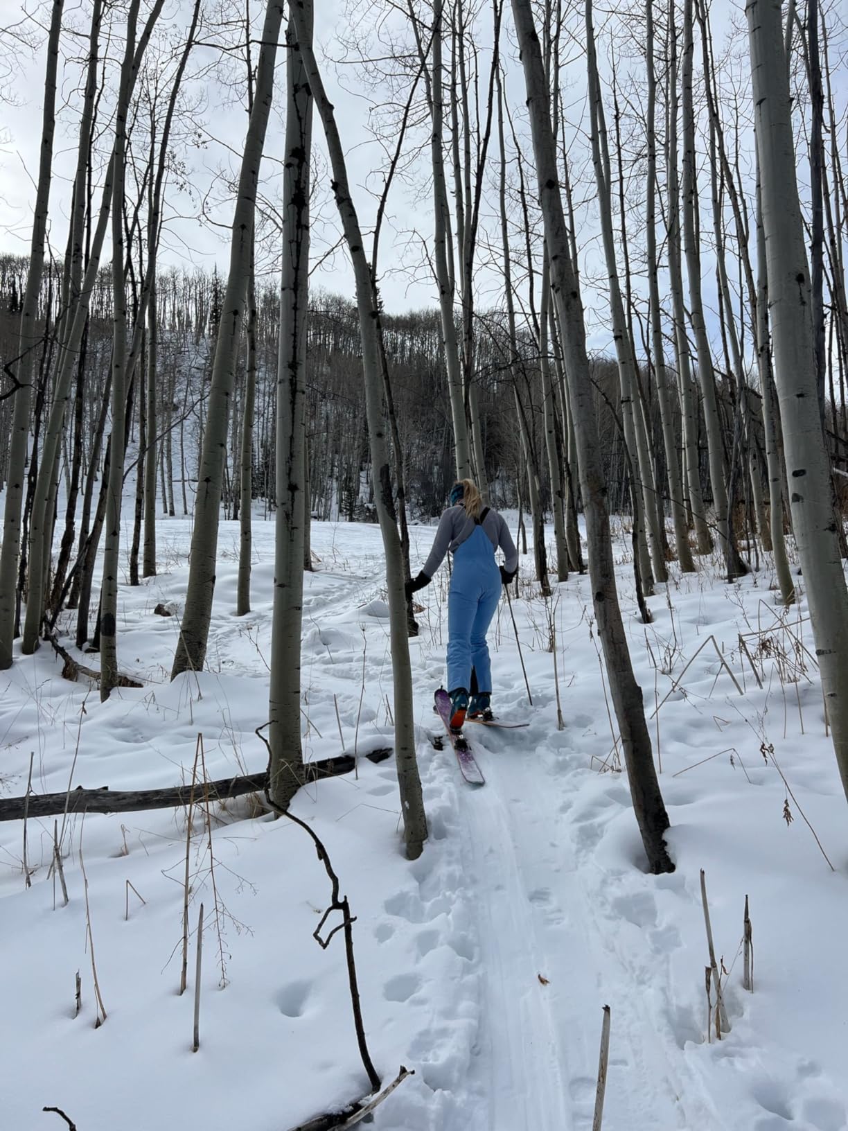 Helly Hansen Legendary Insulated Bib Pants customer photo 1