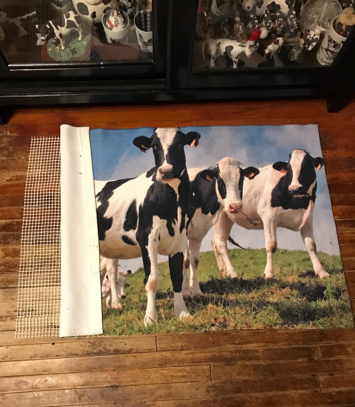 Slip-Stop | Made in U.S.A. | Ultra Stop Natural Premium Non-Slip Rug Pad Gripper 6' x 9' | Low-Profile Pad for Hardwood Floors & Any Hard Surface Floors customer photo 1