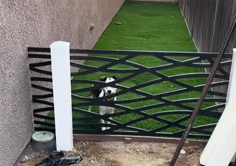 Wave Decorative Lattice, Privacy Screen, Deck Skirting, Multi-use Panel (2 ft. x 4 ft., Black, 1) customer photo 2