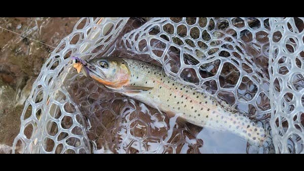 SF Fly Fishing Landing Net Soft Rubber Mesh Trout Net Catch and Release Net customer photo 2