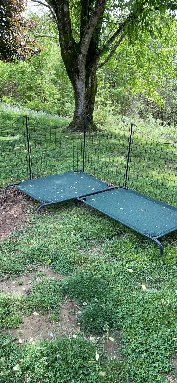 Zippity 39in H Black Metal Fence, DIY Fence Kit customer photo 1