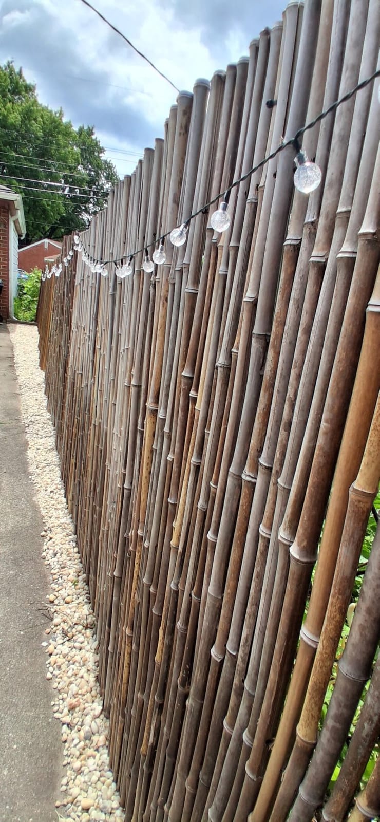 FOREVER BAMBOO Natural Bamboo Fencing Decorative Rolled Fence Panel 0.75 in D x 6 ft H x 8 ft L customer photo 2