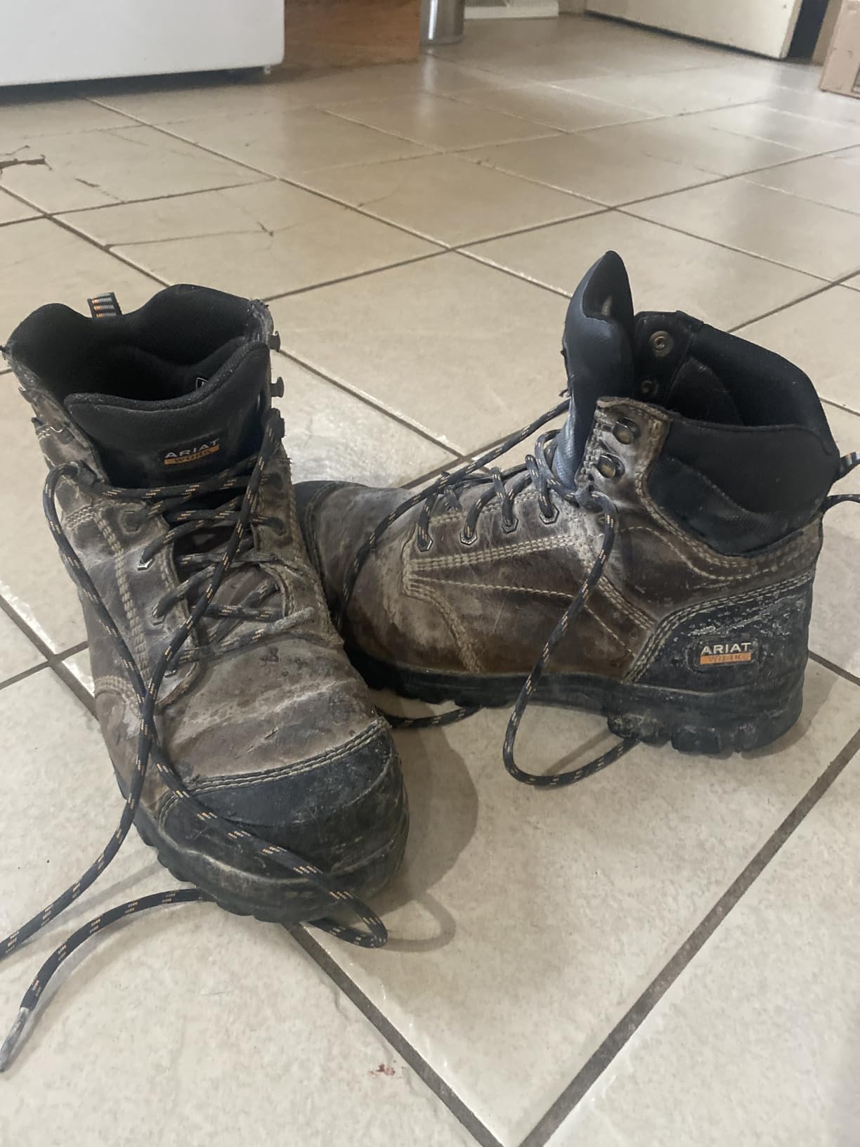 ARIAT Women's Treadfast 6