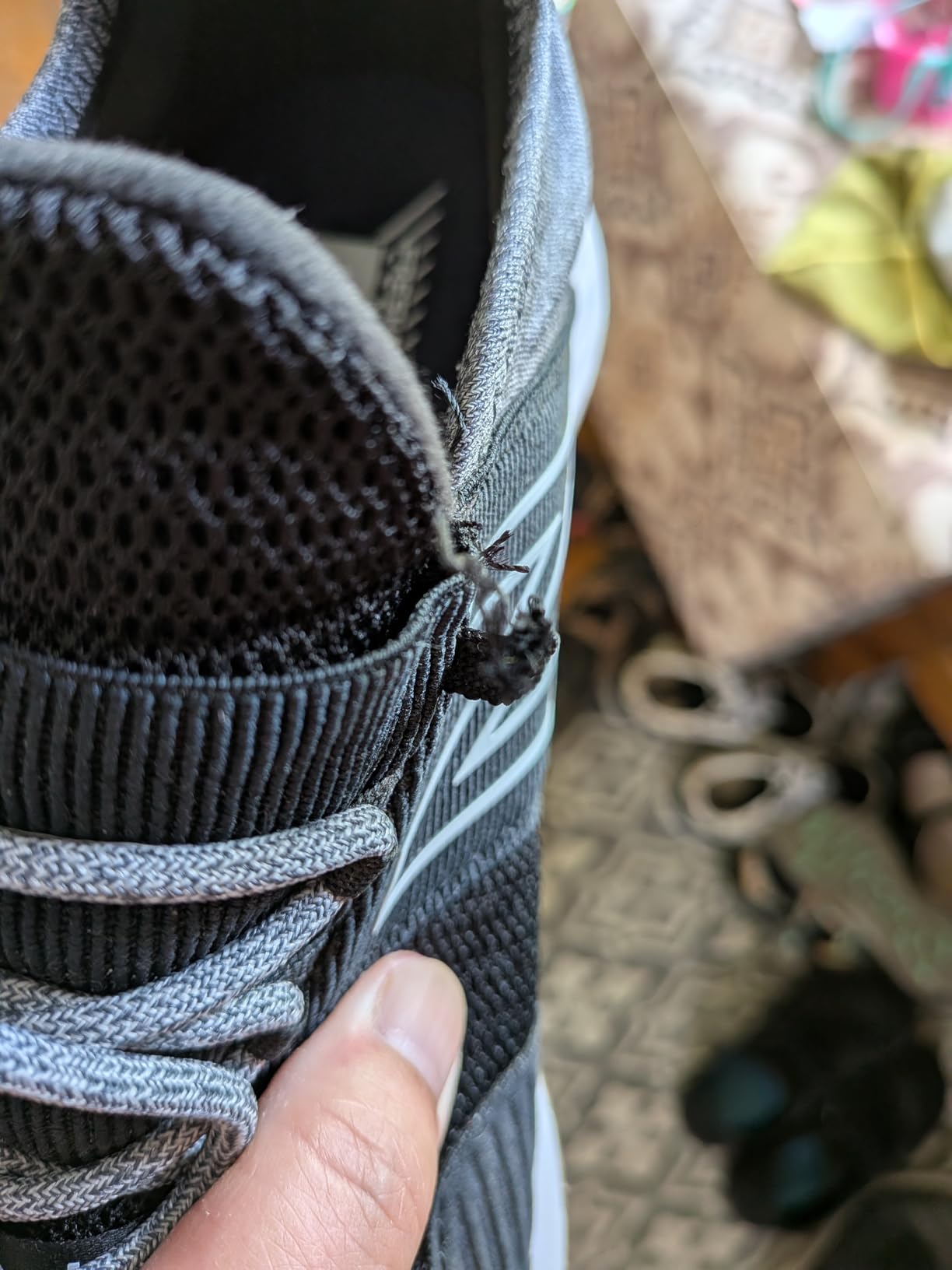 New Balance Women's Fresh Foam Roav Running Shoe customer photo 2