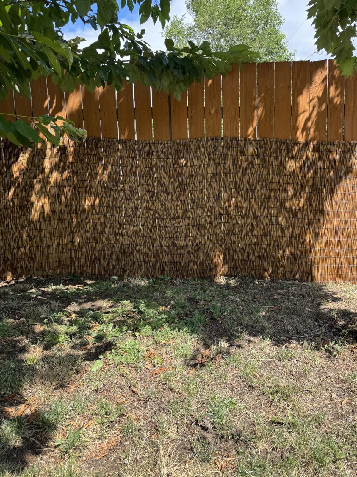 ZNCMRR Reed Fencing Rolls Fencing 4ft High Roll Reed Screen for Balcony Patio Garden Backyard 4FT X 16.4FT Privacy Fence（Brown） customer photo 1
