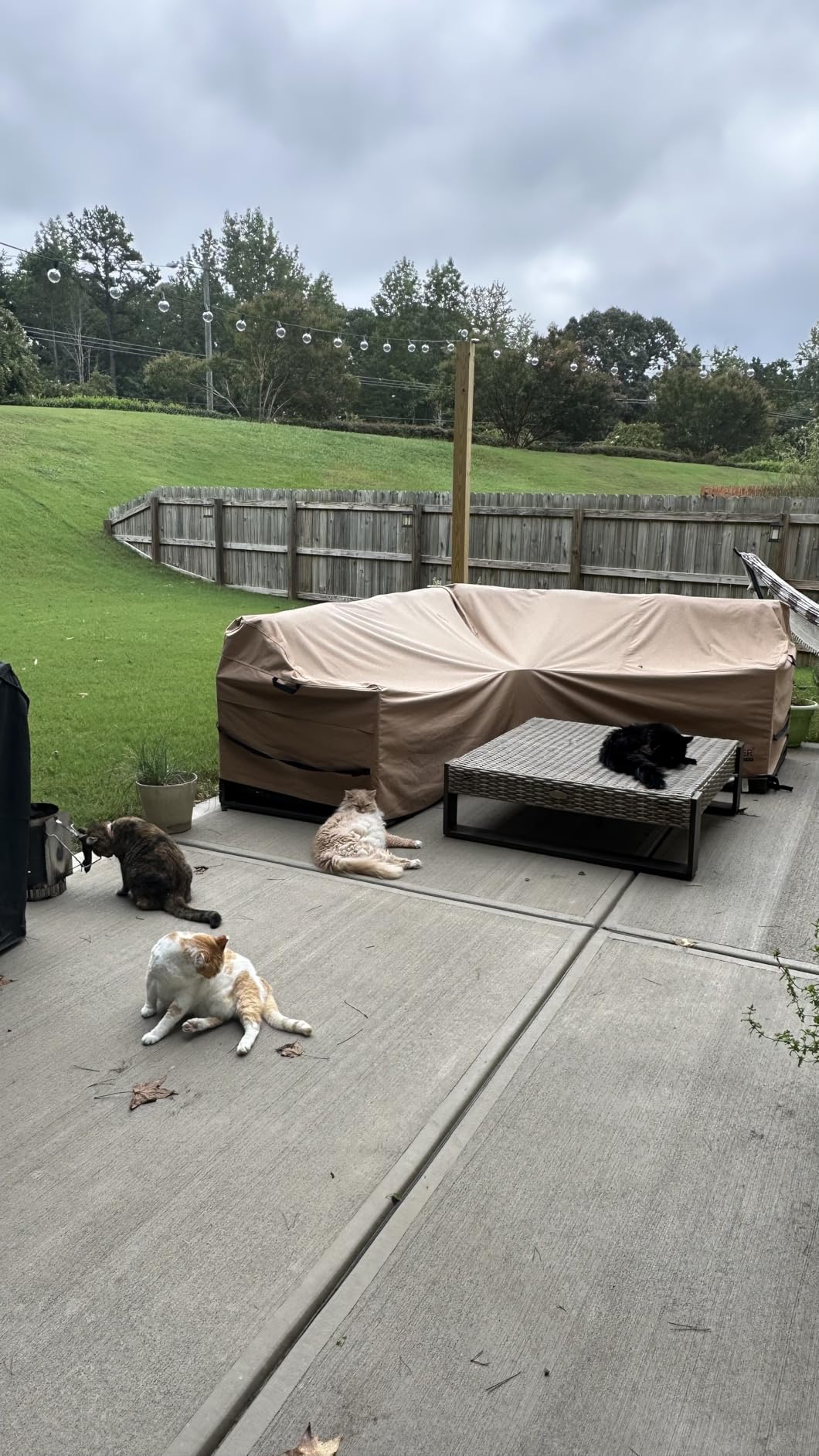 ULTCOVER Waterproof 5-Seater Patio V-Shaped Sofa Cover customer photo 1