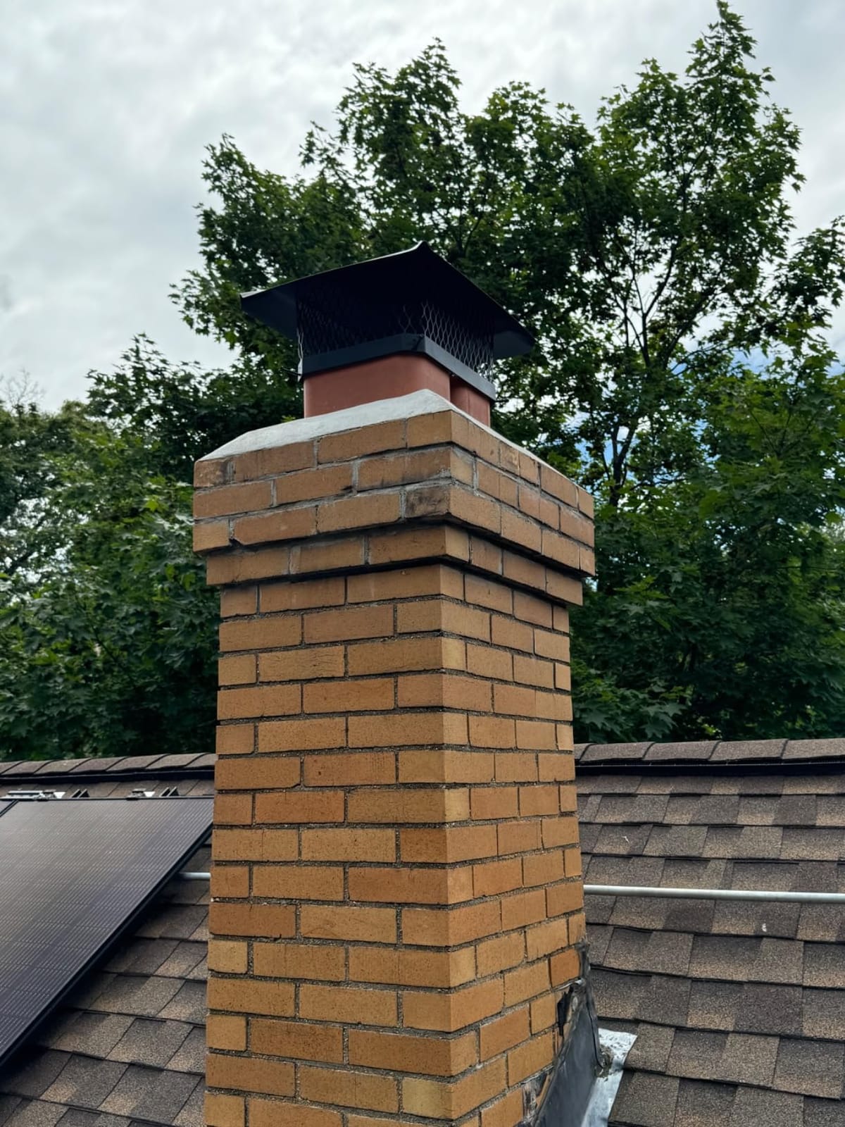 HY-Guard HG1216 Single Flue Bolt On Galvanized Steel Chimney Cover, Mesh Size 3/4