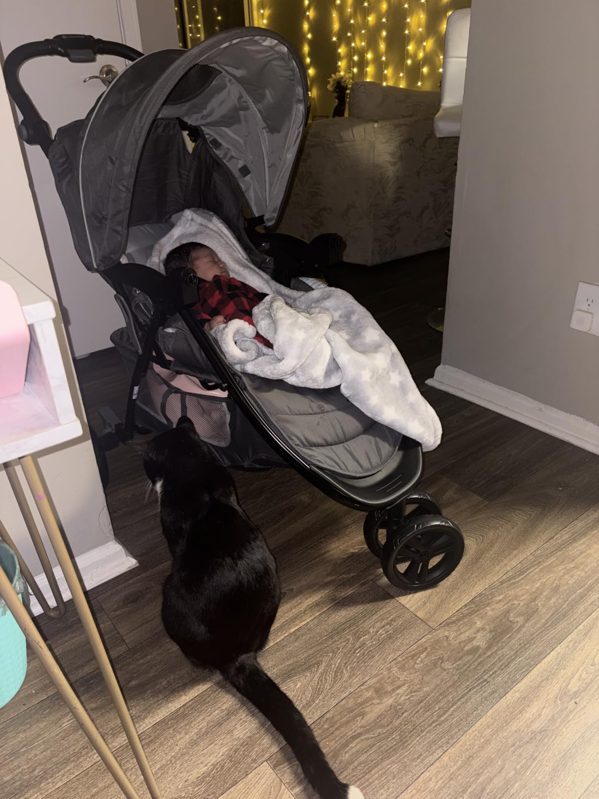 Baby Trend EZ Ride Travel System with EZ-Lift Infant Car Seat, Dash Grey customer photo 1