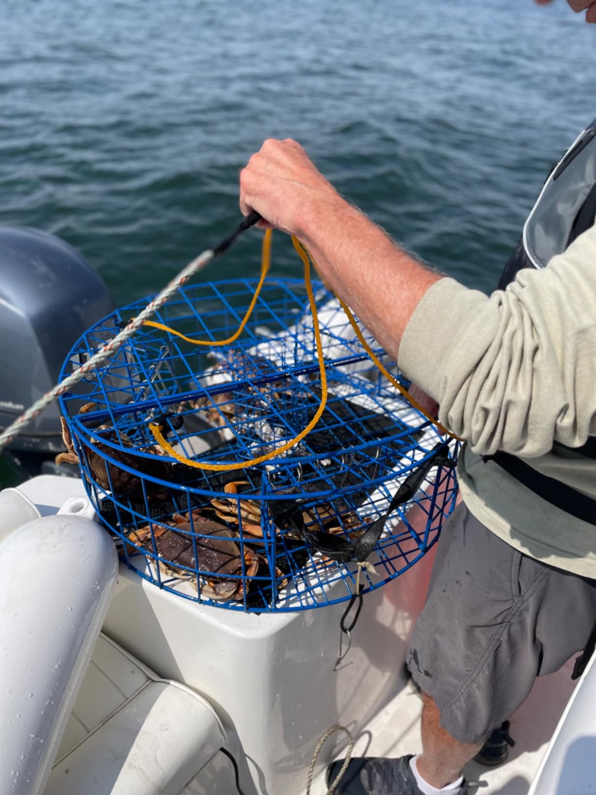Heavy Duty Crab Pot Trap Pacific 3 Tunnel with 2 Doors (30''Dia-10''Tall) Crabbing Kit for Dungeness customer photo 1