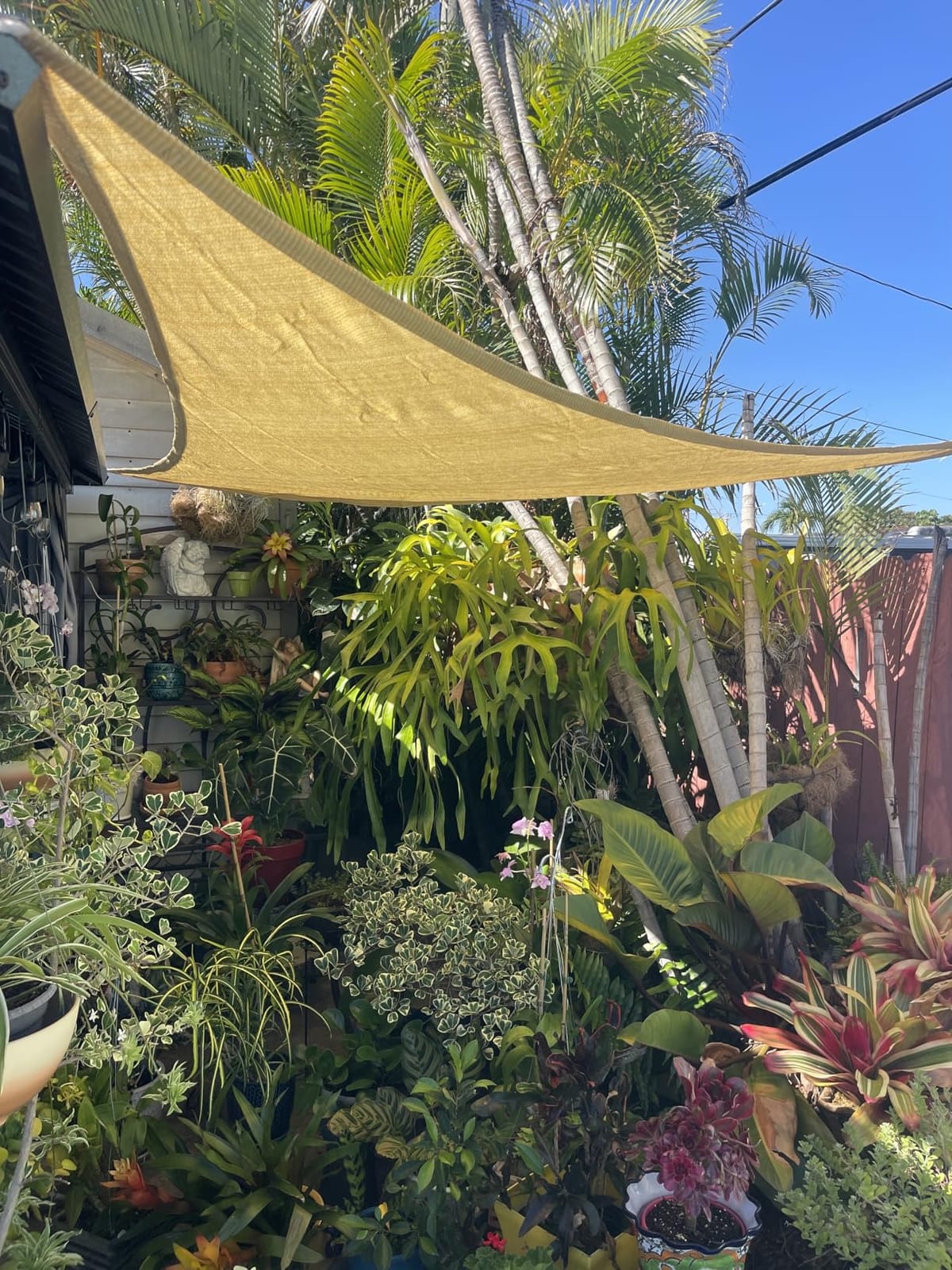 Amgo 16' x 16' x 22.6' Beige Triangle Sun Shade Sail for Patio customer photo 2