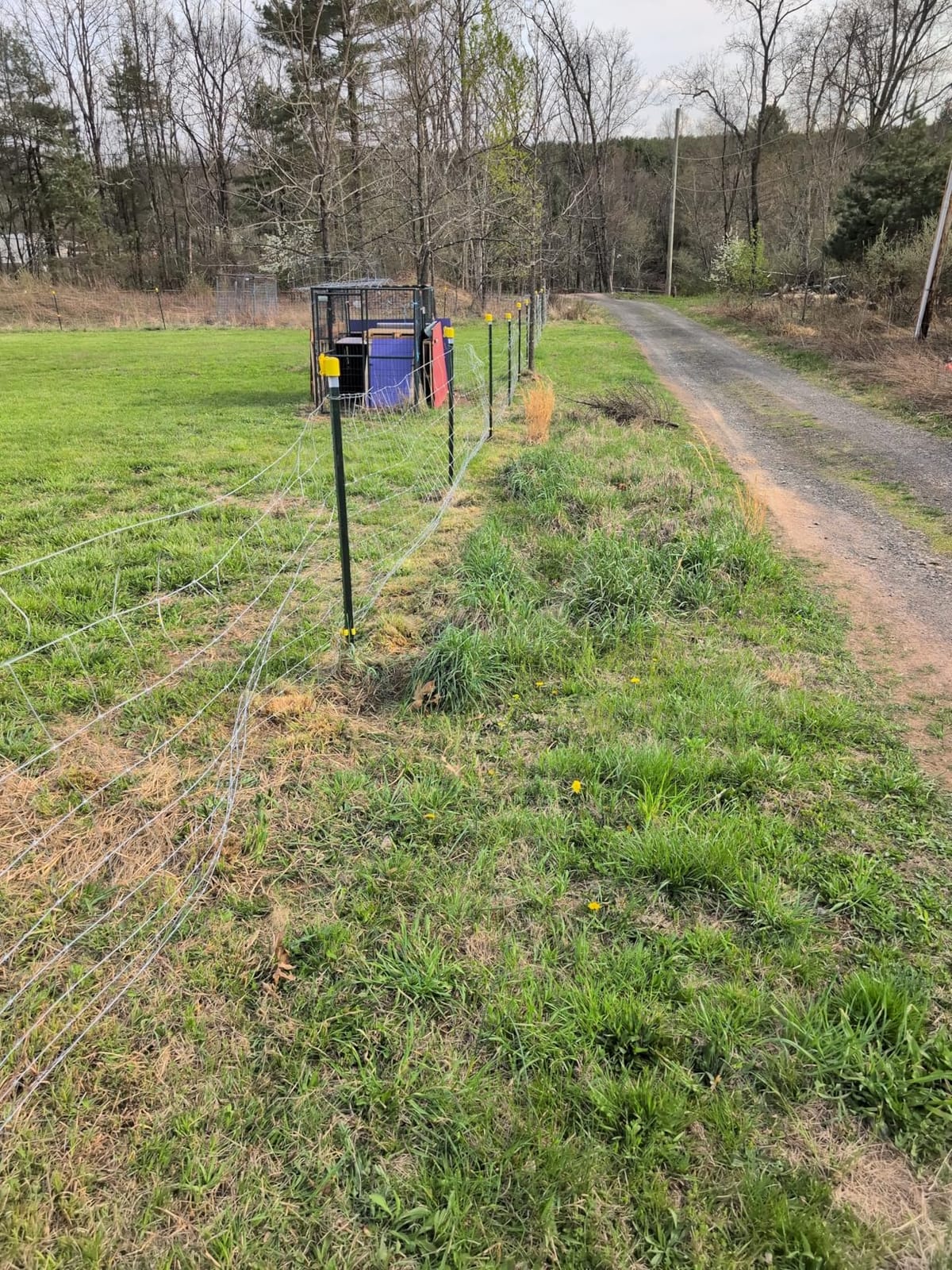 Cattle Fence 4ft x 164ft, Galvanized Farm Fence & Metal Wire Fencing customer photo 1