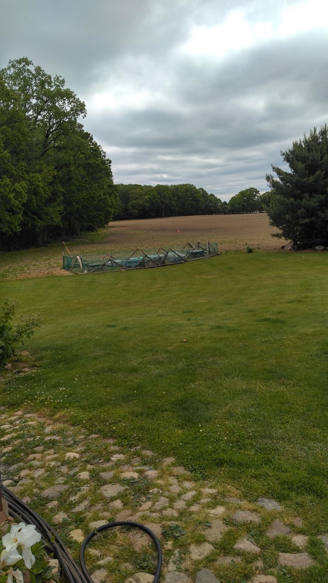 PotatoLife 4'x100' Plastic Mesh Safety Fence with 100 Zip Ties, Orange customer photo 1