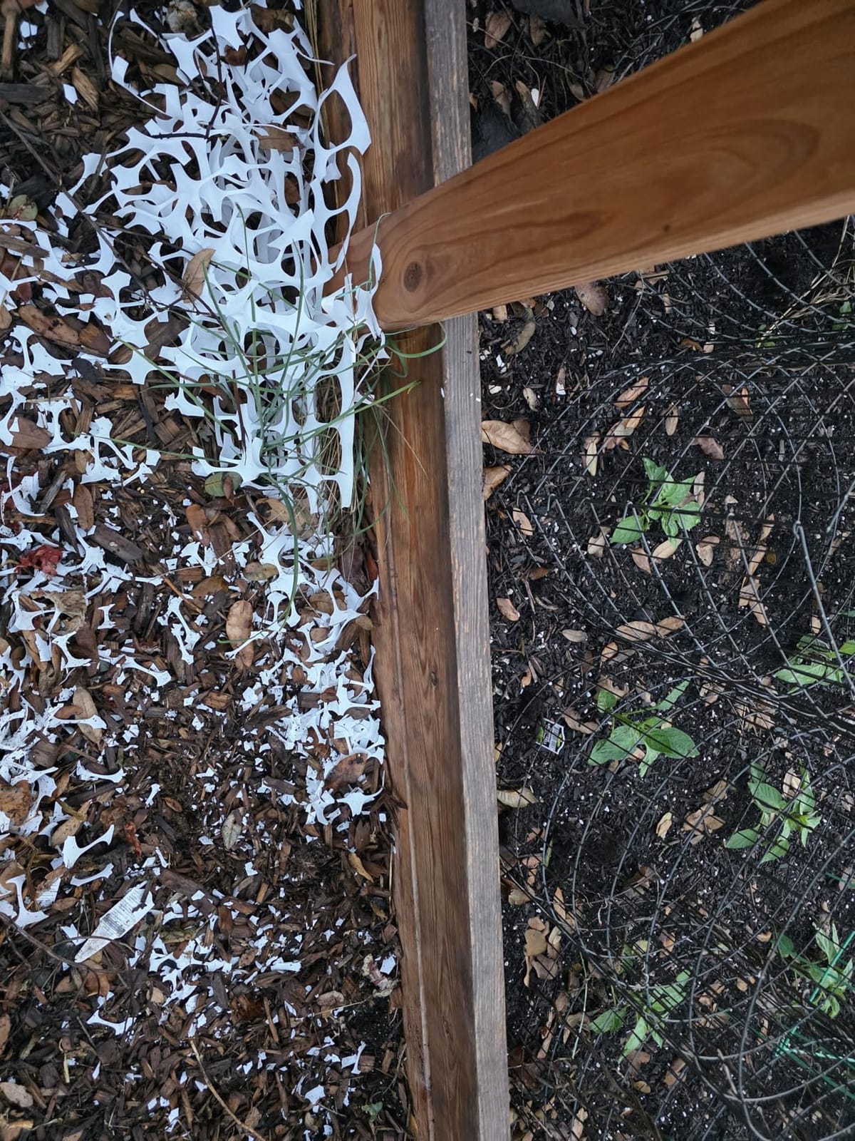 PotatoLife 4'x100' Plastic Mesh Safety Fence with 100 Zip Ties, Orange customer photo 2