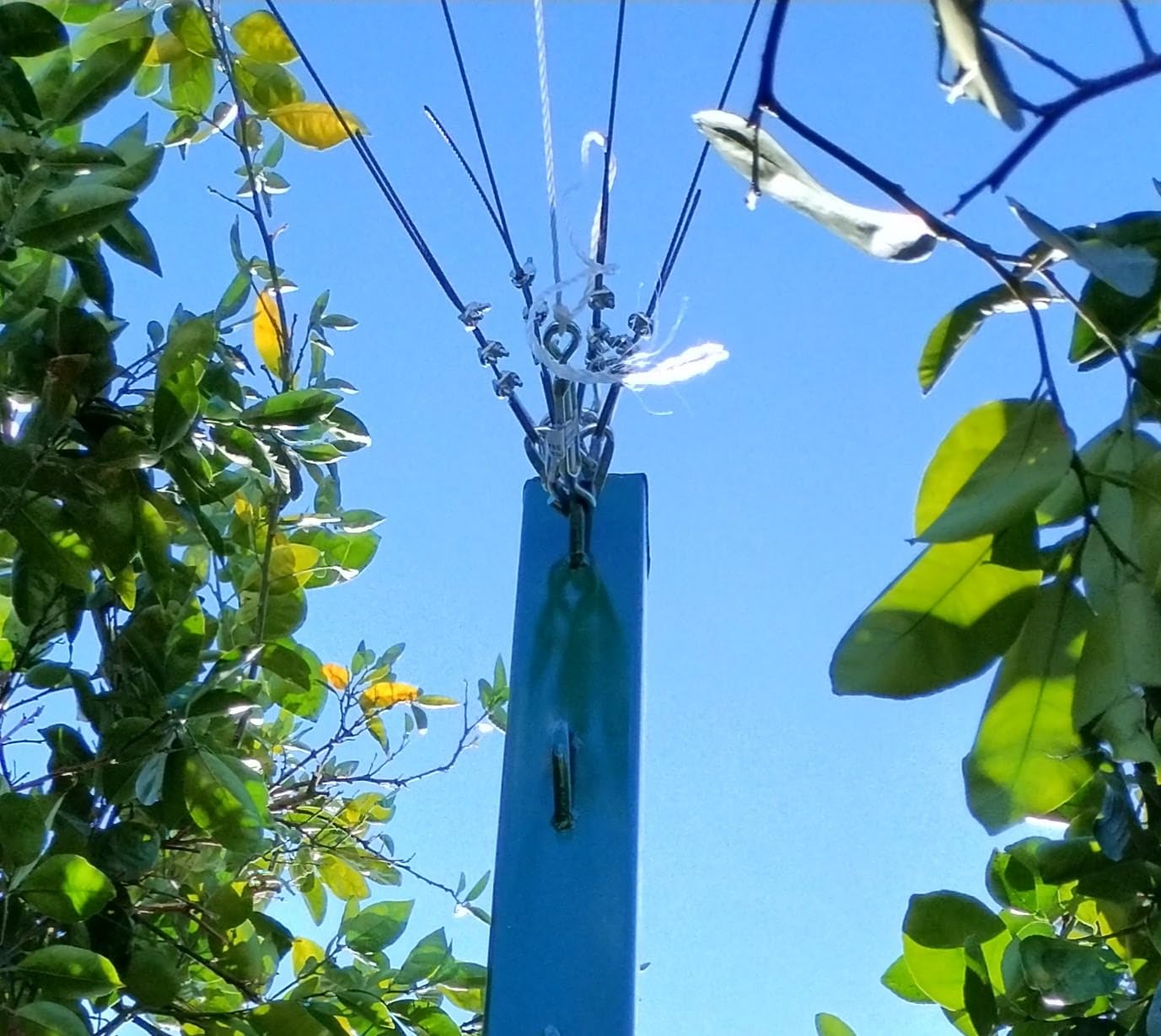 Muzata 1000ft 1/8