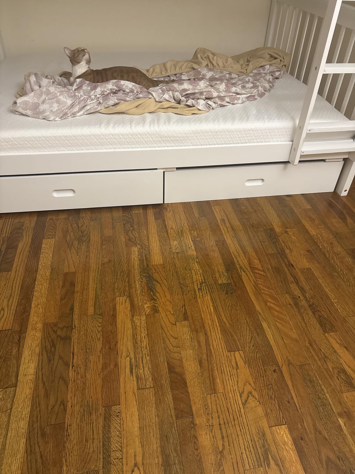 Merax Wood Bunk Bed with Drawers,Convertible Wood Bunk Bed with Ladders and Two Storage Drawers,Solid Wood Detachable Bed Frame with Ladders,Twin Over Full Size,Grey customer photo 1