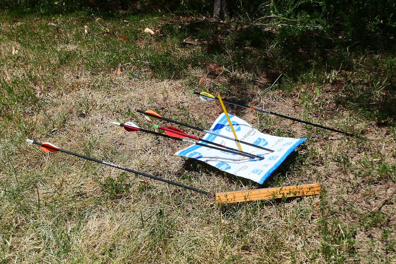 Sanlida Dragon X9 Ready to Hunt Compound Bow Kit for Adults, Archery Hunting Bow Package with 12 Carbon Arrows, Adjustable up to 70 lbs, No Bow Press Needed, Right Hand Only customer photo 1