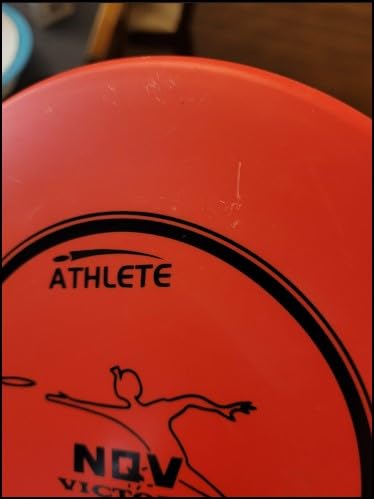 Disc Golf Basket,Heavy Duty 24 Chain Portable Target customer photo 1