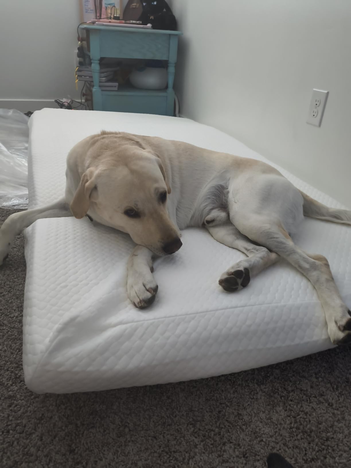 PayLessHere | 8 Inch Twin Mattress | Medium Firm Base Foam Mattress customer photo 2