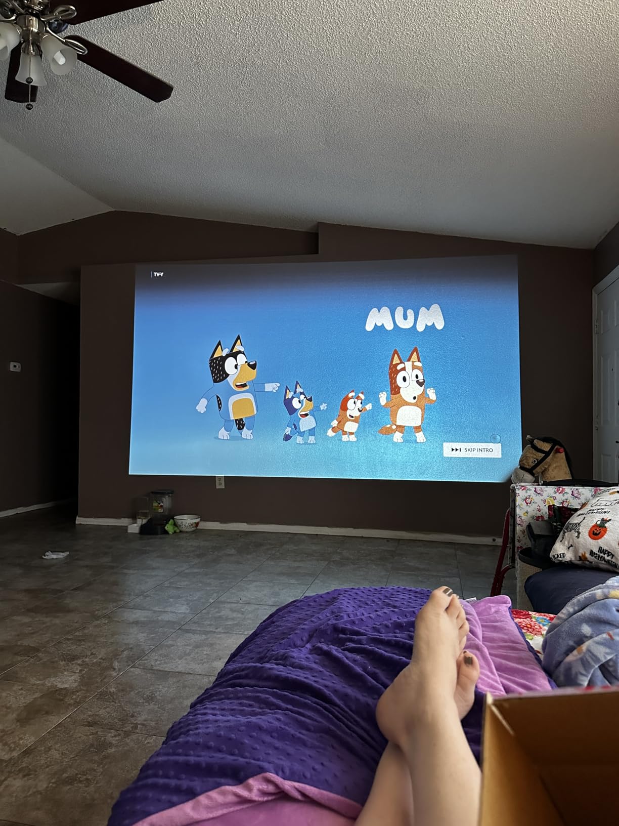 ViewSonic PA503HD 4000 Lumens 1080p Full HD DLP Projector, High Brightness customer photo 2