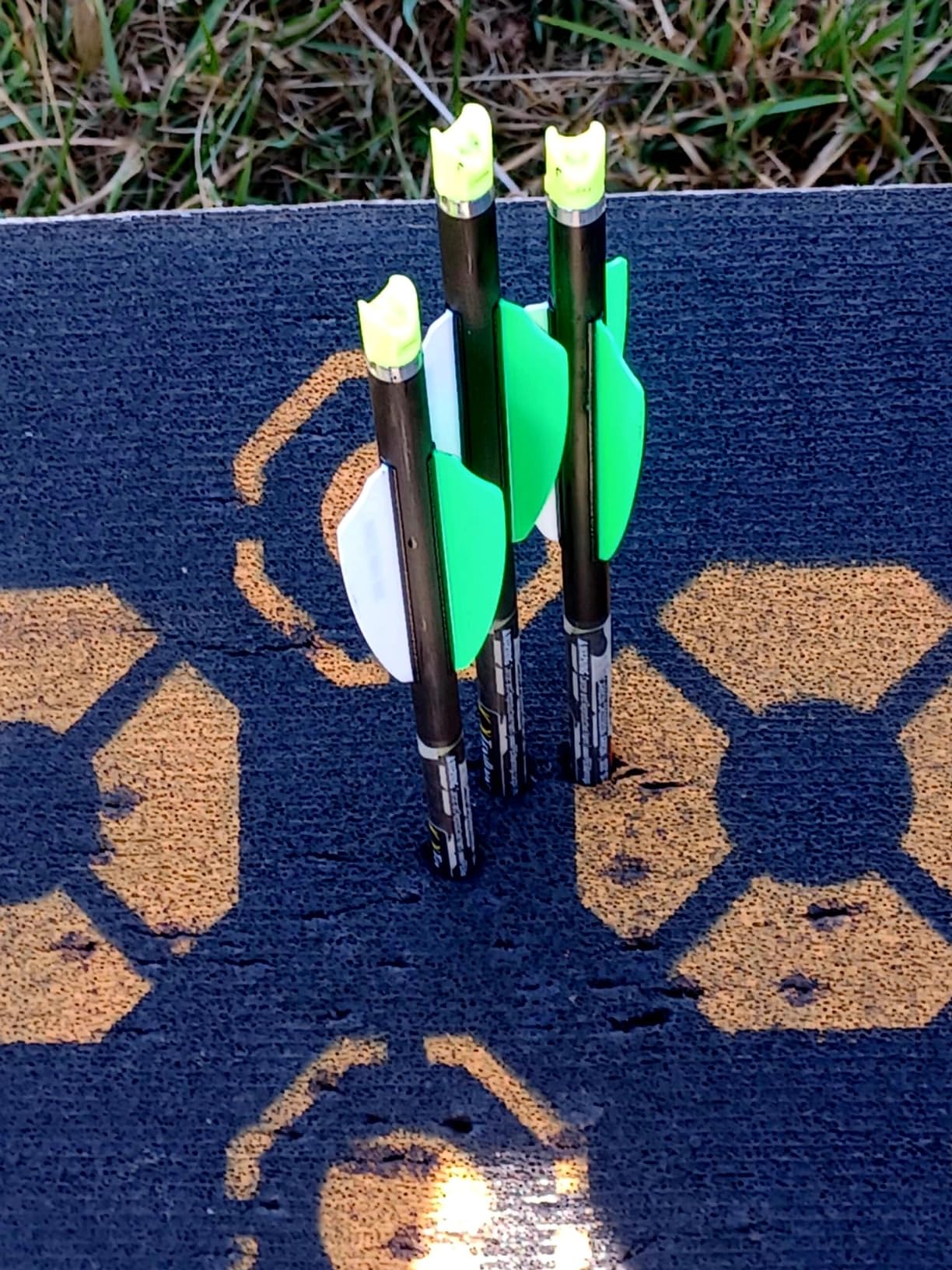 TenPoint Titan 400 Crossbow, Vektra - 400 FPS - Includes Pro-View 400 Scope, ACUdraw Silent Cocking Device & Three Pro Elite 400 Carbon Arrows customer photo 1