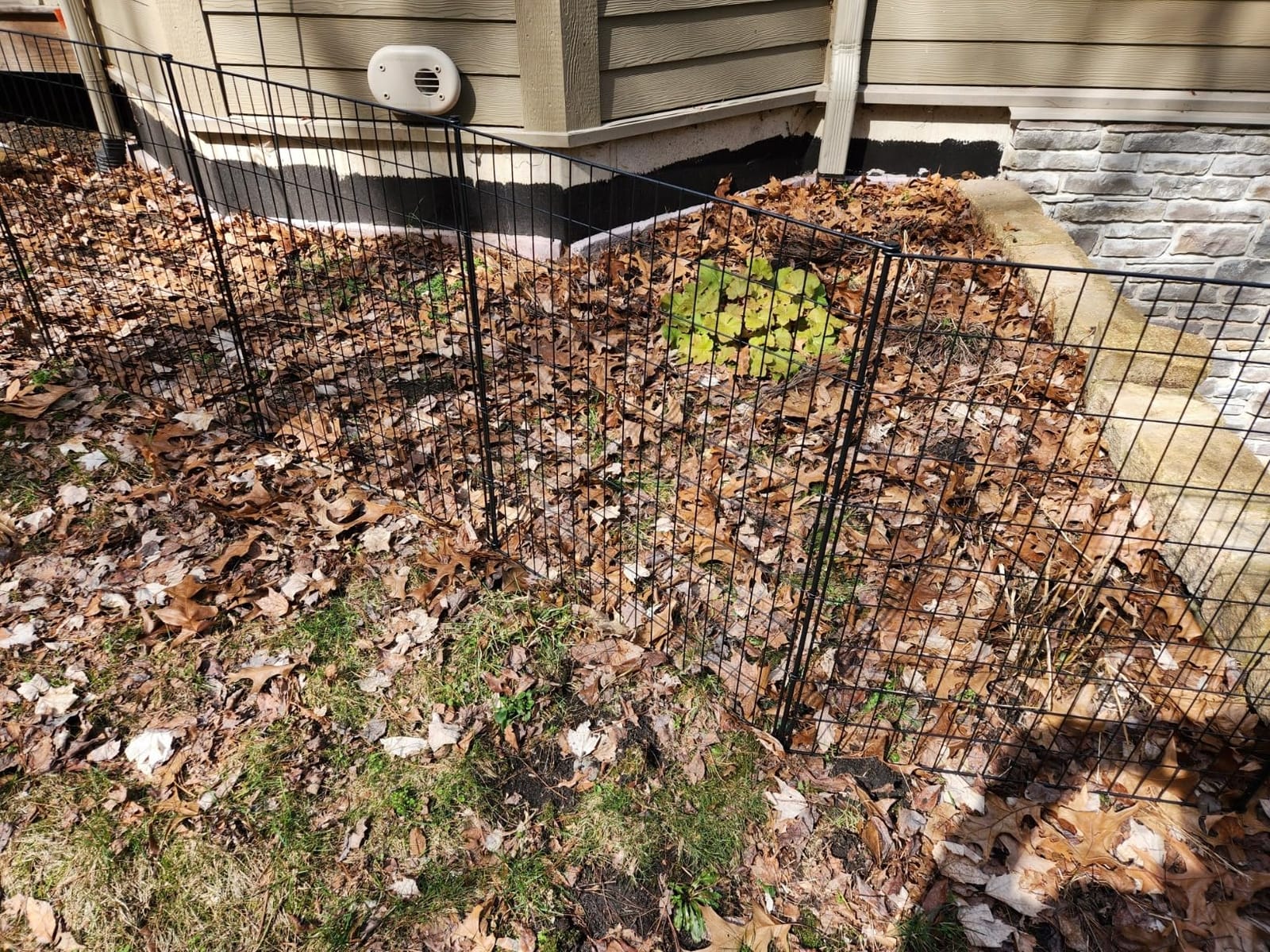 10 Panels Garden Fencing Animal Barrier, 33 in(H) X 24 ft(L) Dog Fence Outdoor for Yard Rustproof No Dig Decorative Tall Garden Fence Metal Wire Panel Border Patio Rabbit Temporary Ground Stakes customer photo 1