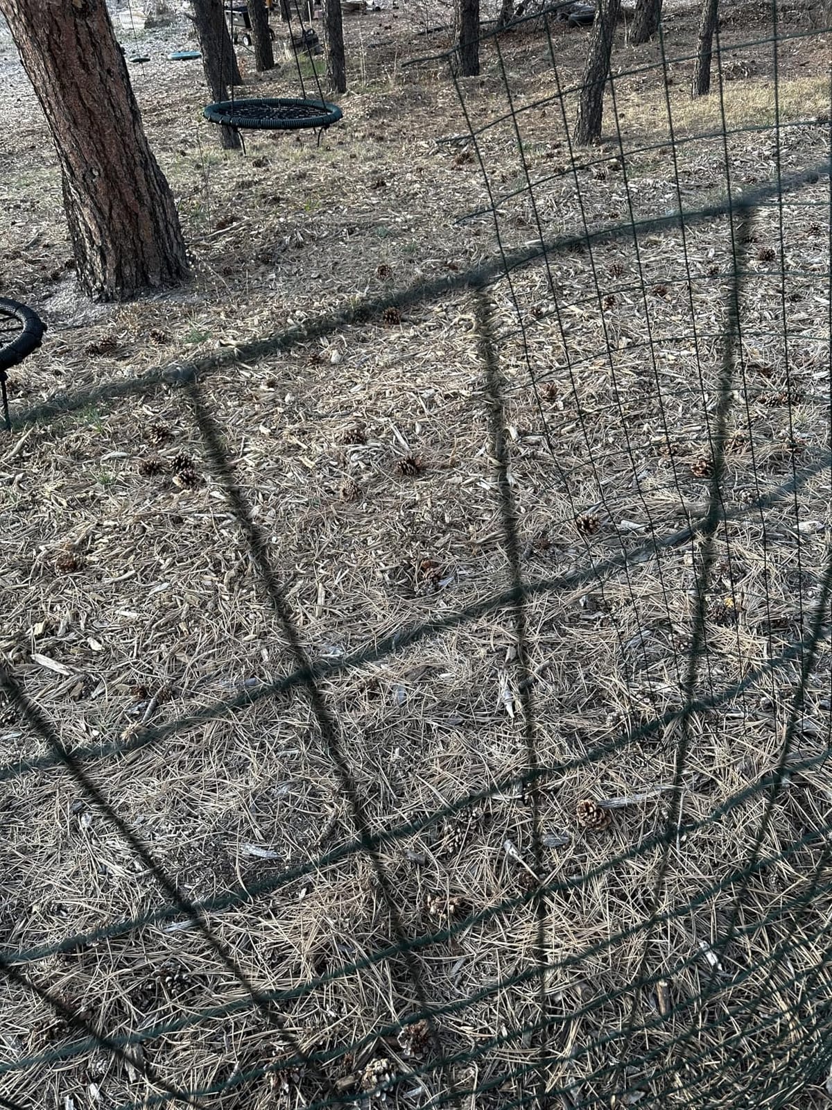 Green Metal Garden Fence,72inch(H) x 50ft(L),2 inch x 4 inch,12.5GA Coated (14GA Bare) 2/3/4/5/6 Ft Tall Chicken Wire PVC Coated Welded Wire Mesh Roll for Dogs Border Yard Vegetable Plant Poultry customer photo 1