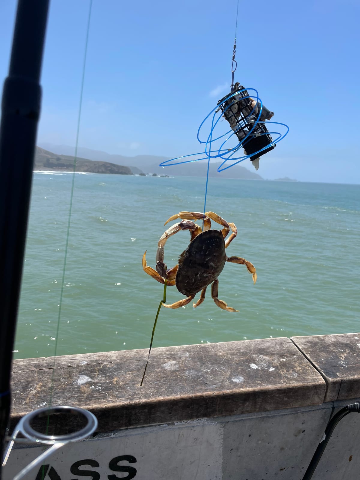 AirFly Castable Crab Trap for Pier, Jetty & Surf - 6-Loop Fishing Pole Crab Trap | Dungeness, Blue & Rock Crabs | Lead-Free | CA, OR, WA, MD & FL, Made in USA customer photo 2