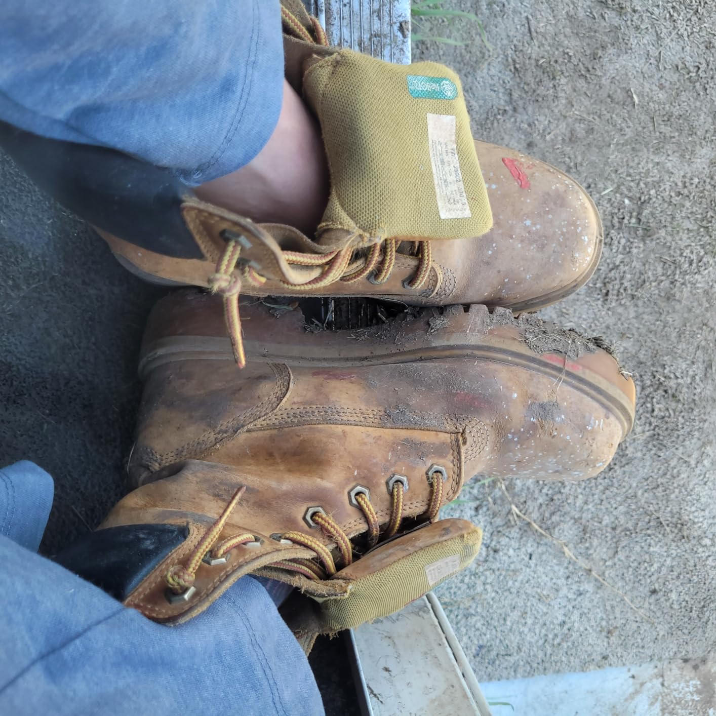 Timberland PRO mens Direct Attach 8 Inch Steel Safety Toe Insulated Waterproof Industrial Work Boot customer photo 2