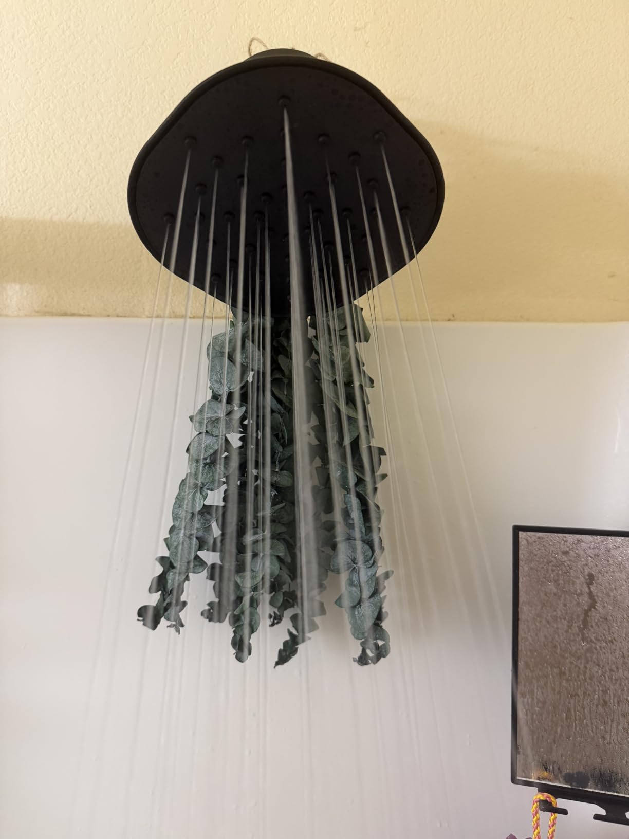 Afina Filtered Shower Head, High Pressure Rainfall (Chrome) customer photo 1