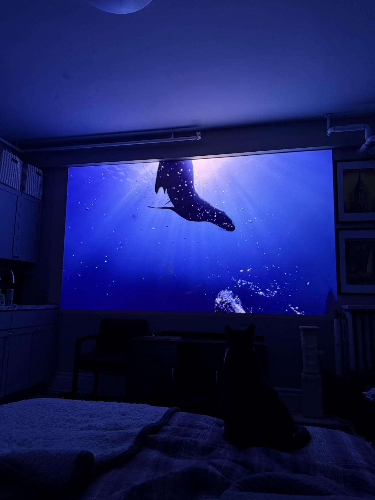 JMGO N1S Ultra 4K Triple Laser Projector , 2800 ISO Lumens, Google TV customer photo 2