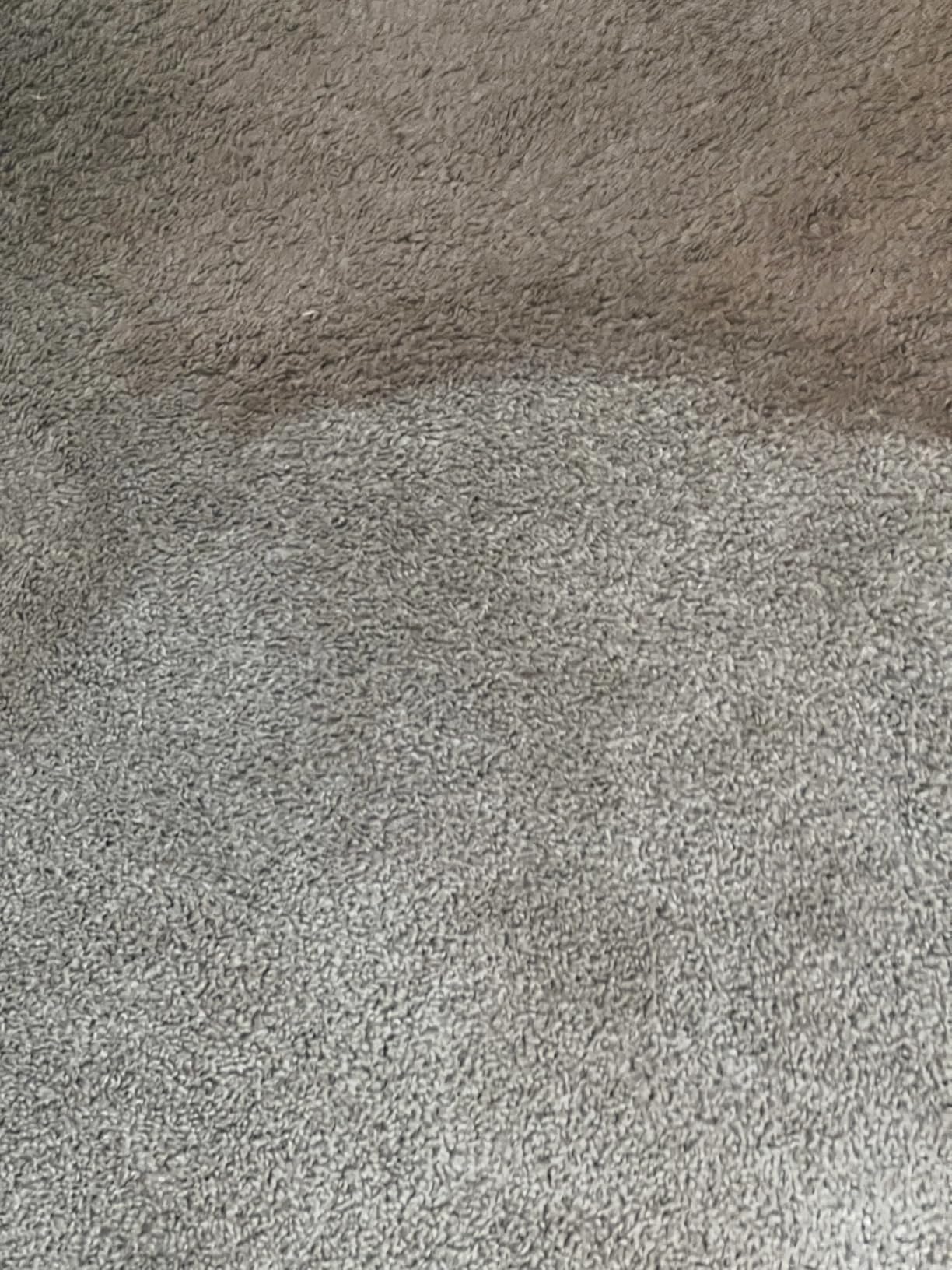 Little Green Max Pet SmartMix Carpet Cleaner, 38572 customer photo 2