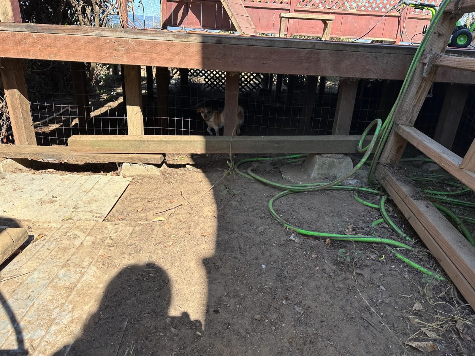Welded Wire Fencing 36 Inch x 100 Foot, 2 Inch x 3 Inch 16GA Black Hardware Cloth PVC Coated Garden Border Fencing Roll Vinyl Coating Metal Wire Mesh for Yard Vegetable Goat Protection Poultry Netting customer photo 1