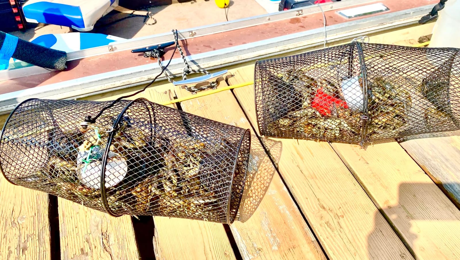 2 Pack - Crawfish Trap Crawdads Crayfish Trap Torpedo Heavy Duty Bait Trap Steel Mesh Wire Black with Clip Two-Piece Durable (2 Pack) customer photo 2