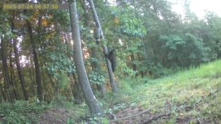 Tree Mounted Deer Hoist, 500LBS Hunting Game Hoist with Winch and Ratchet Strap, 23FT Steel Cable Heavy Duty Deer Hanger for Skinning, Field Dressing, Hanging Deer Feeder Hanger customer photo 1