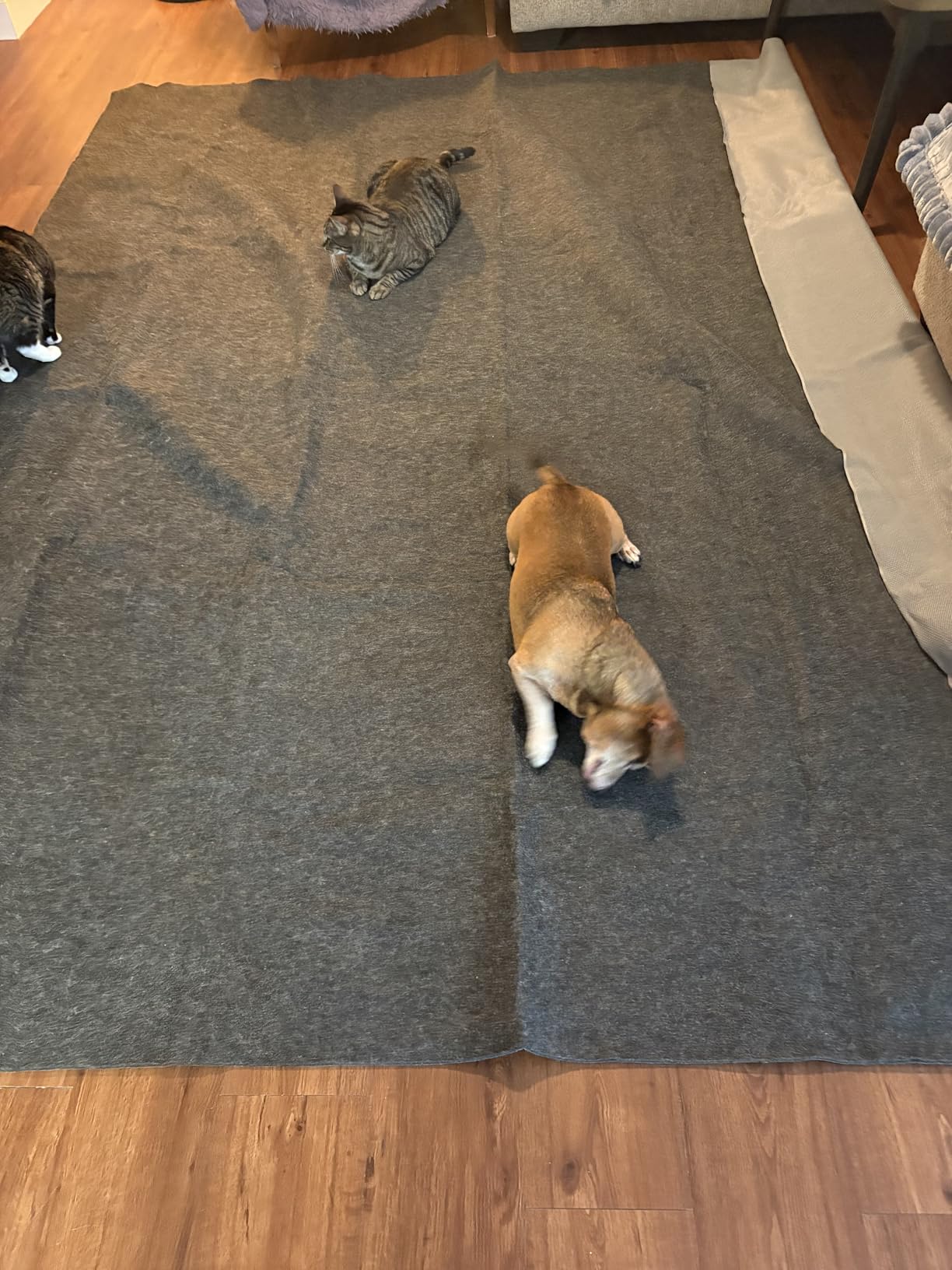BALEINE Felt Non Slip Rug Pads, Extra Large 1/8