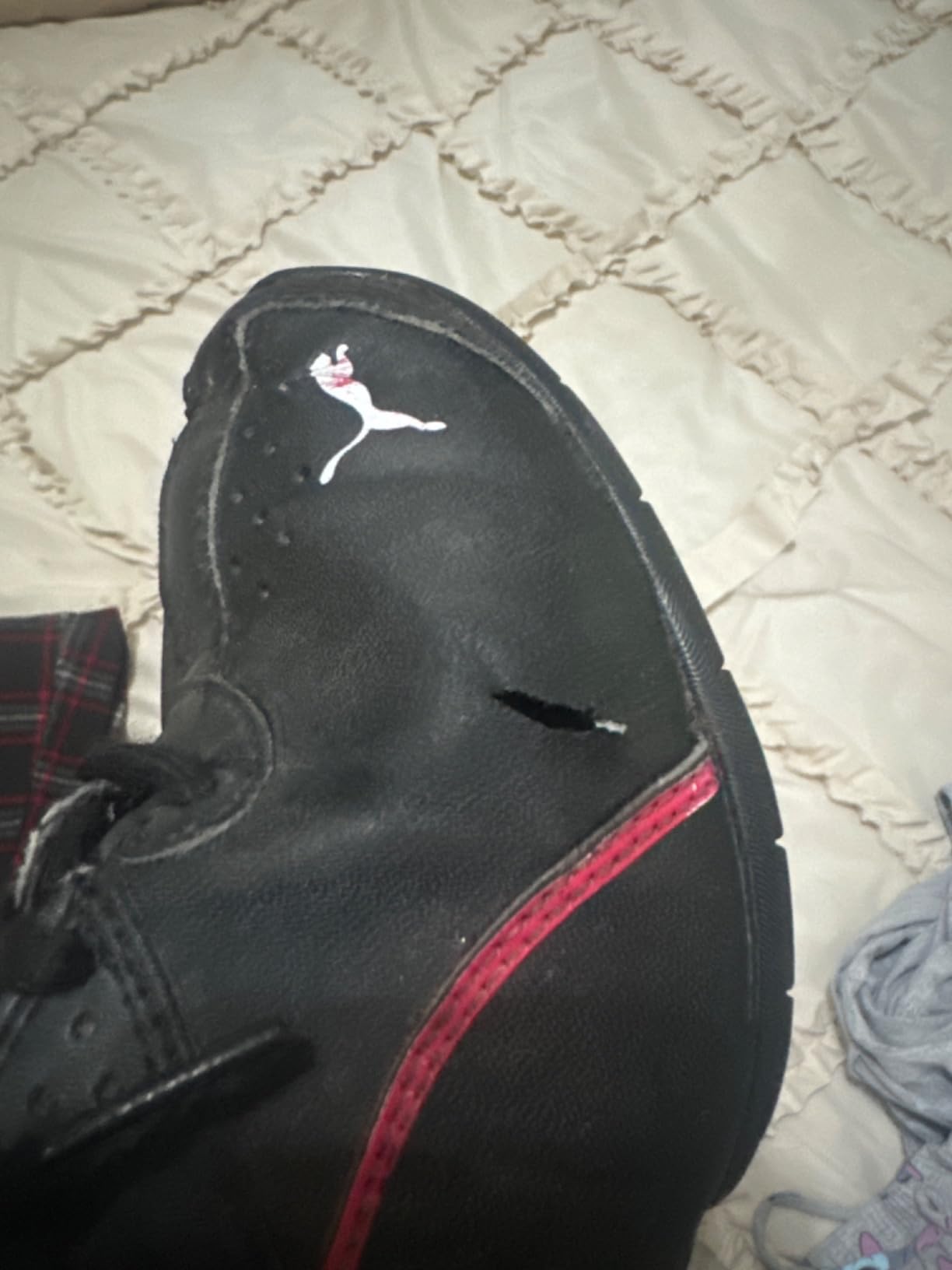 PUMA Women's Tazon 6 Sneaker customer photo 1