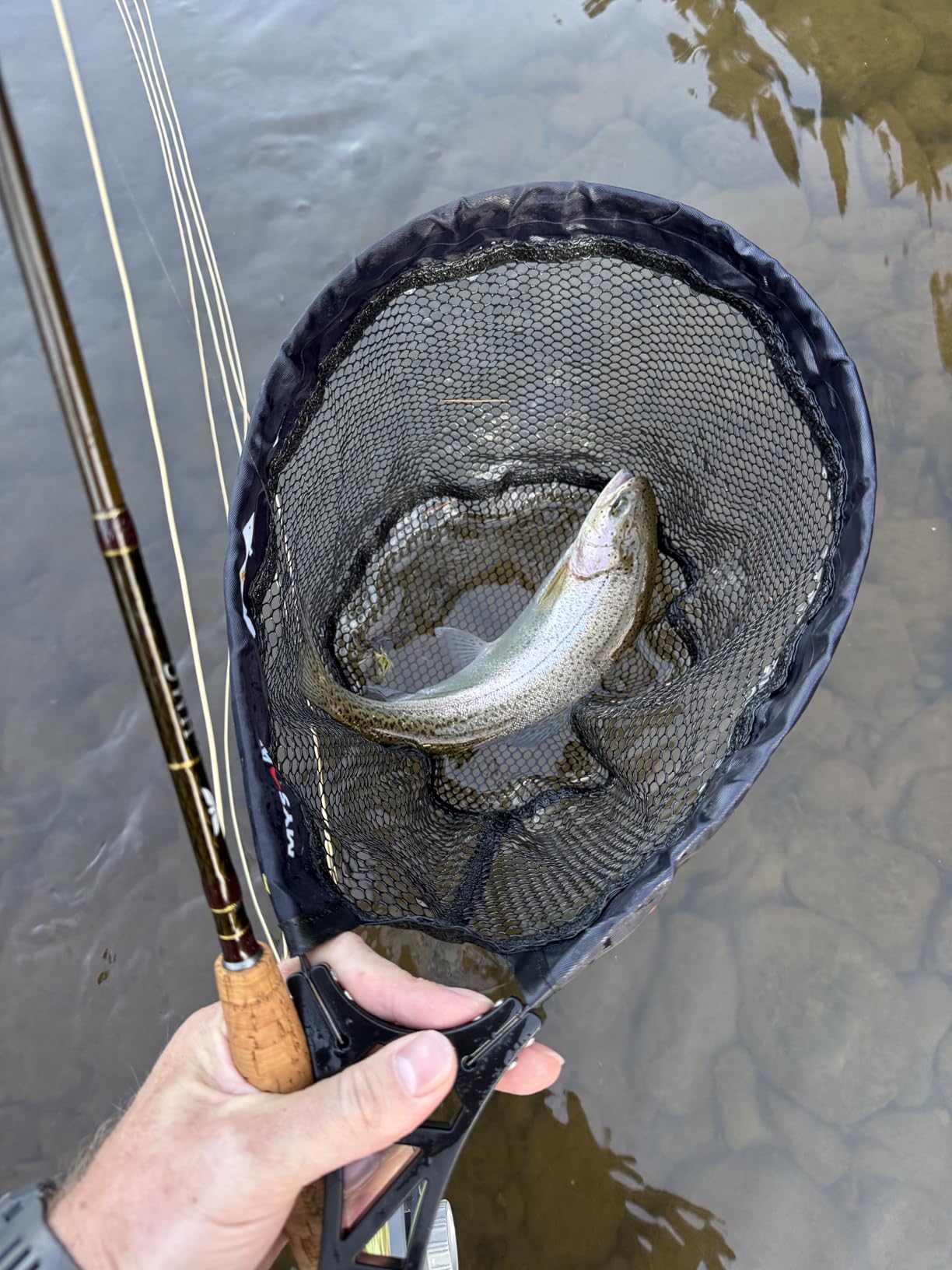 Fly Fishing Net - Collapsible Foldable Tenkara Kayak Landing Net for Trout & Backpacking, Ultralight Compact Hiking Fishing Net with Rubber Coated Mesh for Catch & Release customer photo 2