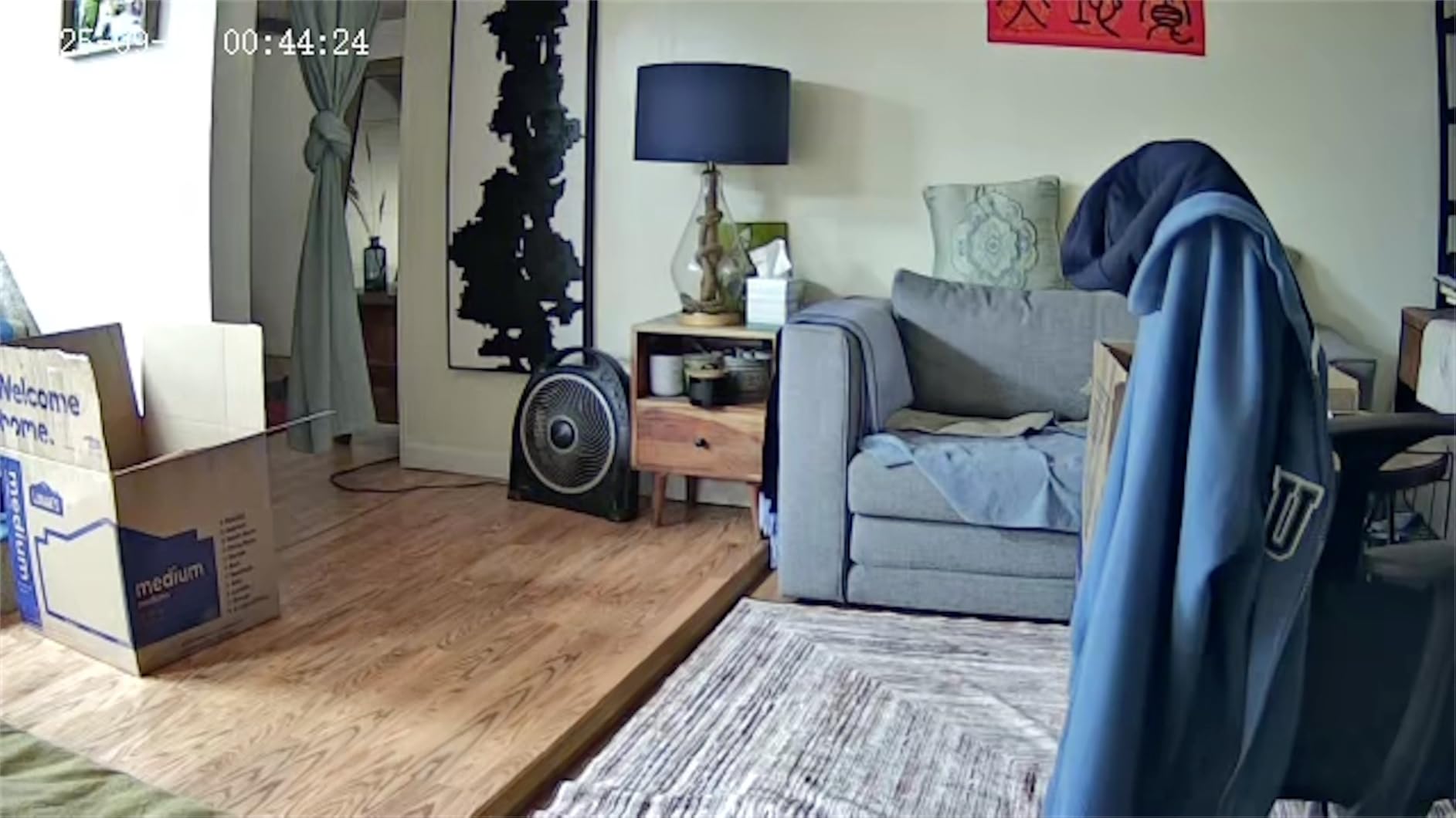 Home Security Camera with 4.3